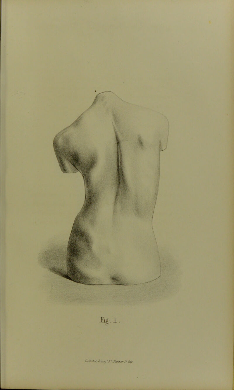 Ci^aioC. Zuicc^'^S^Jkinruer S* G:tf,