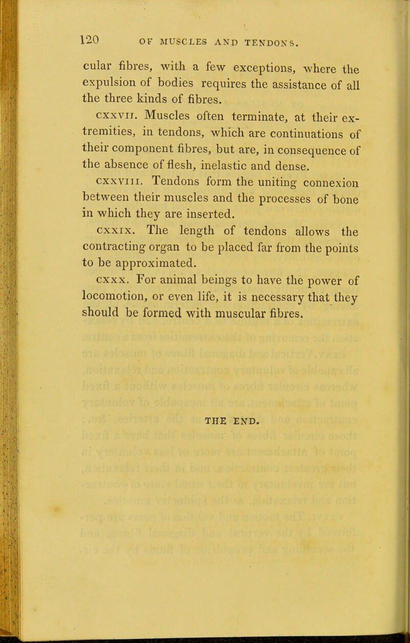 cular fibres, with a few exceptions, where the expulsion of bodies requires the assistance of all the three kinds of fibres. cxxvii. Muscles often terminate, at their ex- tremities, in tendons, which are continuations of their component fibres, but are, in consequence of the absence of flesh, inelastic and dense. cxxviii. Tendons form the uniting connexion between their muscles and the processes of bone in which they are inserted. cxxix. The length of tendons allows the contracting organ to be placed far from the points to be approximated. cxxx. For animal beings to have the power of locomotion, or even life, it is necessary that they should be formed with muscular fibres. THE END.