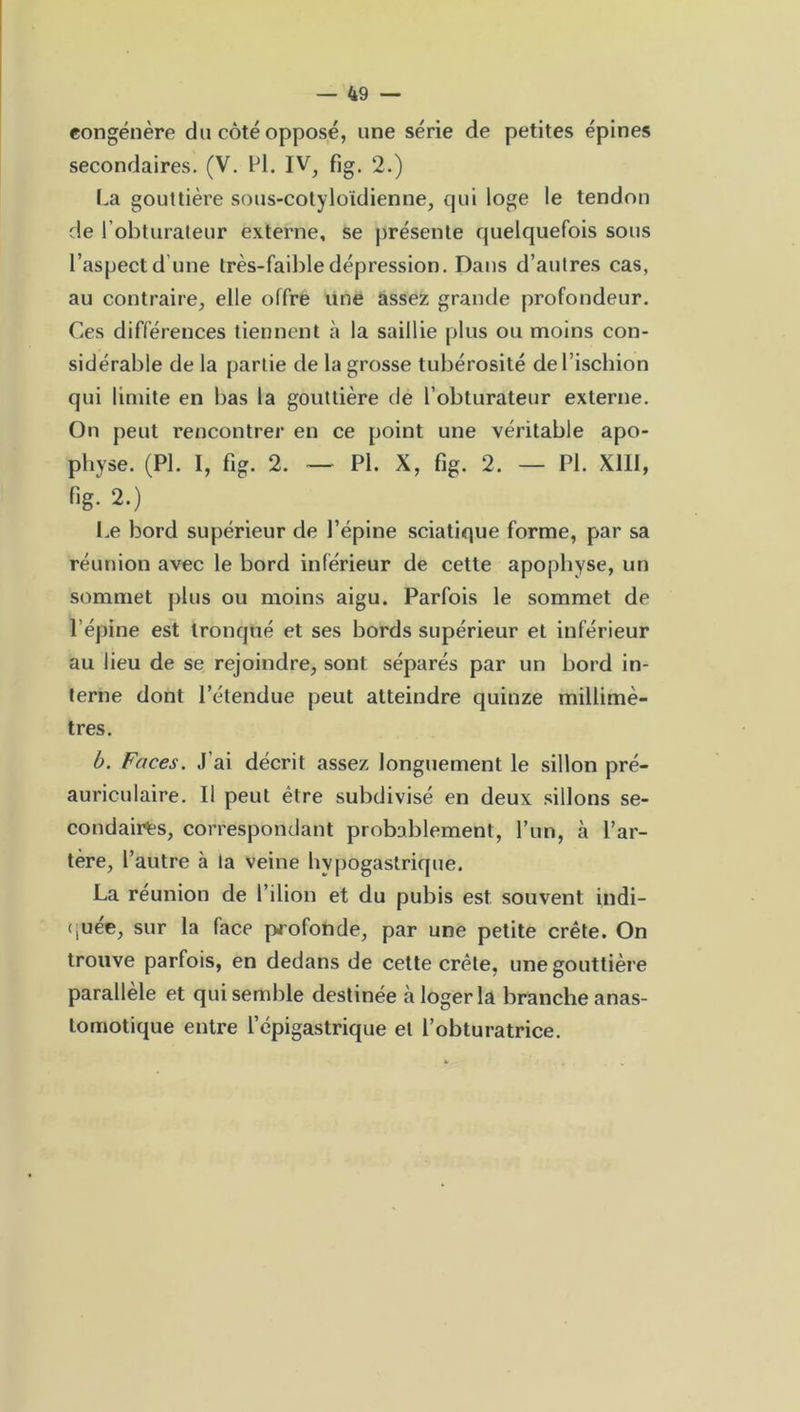 congénère du côté opposé, une série de petites épines secondaires. (V. PI. IV, fig. 2.) La gouttière sous-cotyloïdienne, qui loge le tendon de l’obturateur externe, se présente quelquefois sous l’aspect d’une très-faible dépression. Dans d’autres cas, au contraire, elle offre une assez grande profondeur. Ces différences tiennent à la saillie plus ou moins con- sidérable de la partie de la grosse tubérosité de l’ischion qui limite en bas la gouttière de l’obturateur externe. On peut rencontrer en ce point une véritable apo- physe. (PI. I, fig. 2. — PI. X, fig. 2. — PI. XIII, fig. 2.) Le bord supérieur de l’épine sciatique forme, par sa réunion avec le bord inférieur de cette apophyse, un sommet plus ou moins aigu. Parfois le sommet de l’épine est tronqué et ses bords supérieur et inférieur au lieu de se rejoindre, sont séparés par un bord in- terne dont l’étendue peut atteindre quinze millimè- tres. b. Faces. J’ai décrit assez longuement le sillon pré- auriculaire. Il peut être subdivisé en deux sillons se- condaires, correspondant probablement, l’un, à l’ar- tère, l’autre à la veine hypogastrique. La réunion de l’ilion et du pubis est souvent indi- quée, sur la face profonde, par une petite crête. On trouve parfois, en dedans de cette crête, une gouttière parallèle et qui semble destinée à loger la branche anas- tomotique entre l’épigastrique et l’obturatrice.