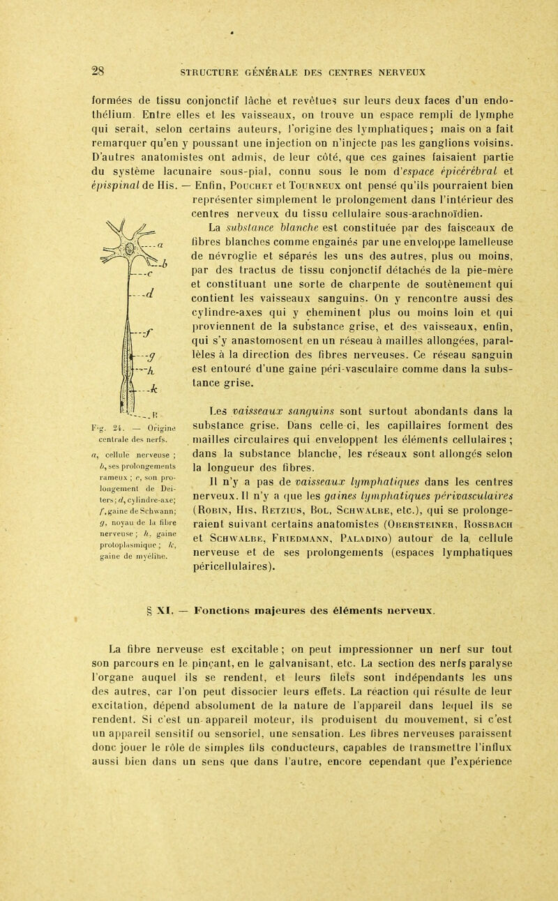 formées de tissu conjonctif lâche et revêtues sur leurs deux faces d'un endo- thélium. Entre elles et les vaisseaux, on trouve un espace rempli de lymphe qui serait, selon certains auteurs, l'origine des lymphatiques ; mais on a fait remarquer qu'en y poussant une injection on n'injecte pas les ganglions voisins. D'autres anatomistes ont admis, de leur côté, que ces gaines faisaient partie du système lacunaire sous-pial, connu sous le nom d'espace êpicérébral et Enfin, Pouchet et Tourneux ont pensé qu'ils pourraient bien représenter simplement le prolongement dans l'intérieur des centres nerveux du tissu cellulaire sous-arachnoïdien. La substance blanche est constituée par des faisceaux de fibres blanches comme engainés par une enveloppe lamelleuse de névroglie et séparés les uns des autres, plus ou moins, par des tractus de tissu conjonctif détachés de la pie-mère et constituant une sorte de charpente de soutènement qui contient les vaisseaux sanguins. On y rencontre aussi des cylindre-axes qui y cheminent plus ou moins loin et qui proviennent de la substance grise, et des vaisseaux, enfin, qui s'y anastomosent en un réseau à mailles allongées, paral- lèles à la direction des fibres nerveuses. Ce réseau sanguin est entouré d'une gaine péri-vasculaire comme dans la subs- tance grise. Les vaisseaux sanguins sont surtout abondants dans la substance grise. Dans celle ci, les capillaires forment des mailles circulaires qui enveloppent les éléments cellulaires ; dans la substance blanche, les réseaux sont allongés selon la longueur des fibres. Il n'y a pas de vaisseaux lymphatiques dans les centres nerveux. Il n'y a que les gaines lymphatiques périvasculaires (Robin, His, Retzius, Bol, Schwalbe, etc.), qui se prolonge- raient suivant certains anatomistes (Obersteiner, Rossbach et Schwalbe, Friedmann, Paladino) autour de la cellule nerveuse et de ses prolongements (espaces lymphatiques péricellulaires). Fonctions majeures des éléments nerveux. La fibre nerveuse est excitable; on peut impressionner un nerf sur tout son parcours en le pinçant, en le galvanisant, etc. La section des nerfs paralyse l'organe auquel ils se rendent, et leurs filets sont indépendants les uns des autres, car l'on peut dissocier leurs effets. La réaction qui résulte de leur excitation, dépend absolument de la nature de l'appareil dans lequel ils se rendent. Si c'est un-appareil moteur, ils produisent du mouvement, si c'est un appareil sensitif ou sensoriel, une sensation. Les libres nerveuses paraissent donc jouer le rôle de simples fils conducteurs, capables de transmettre l'influx aussi bien dans un sens que dans l'autre, encore cependant que l'expérience épispinal de His. — —.H Eig. 24. — Origine centrale (les nerfs. a, cellule nerveuse ; //, ses prolongements rameux ; c, son pro- longement de Dei- ters; d, cylindre-axe; f, gaine deSchwann; g, noyau de la fibre nerveuse ; h. gaine protoplasmiquc ; /.', gaine de myéline. § XI.