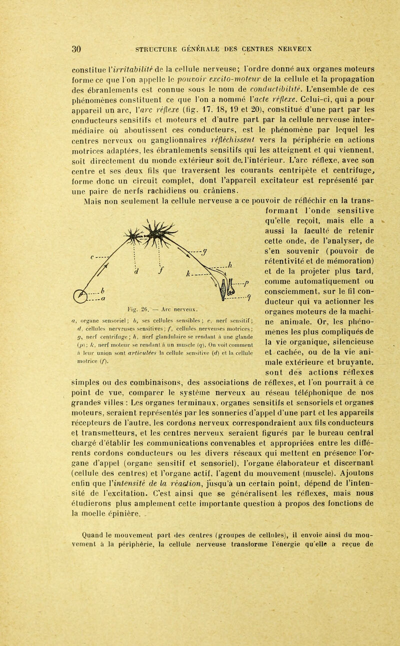 constitue l'irritabilité de la cellule nerveuse; l'ordre donné aux organes moteurs forme ce que l'on appelle le pouvoir excito-moteur de la cellule et la propagation des ébranlements est connue sous le nom de conductibilité. L'ensemble de ces phénomènes constituent ce que l'on a nommé Vacte réflexe. Celui-ci, qui a pour appareil un arc, l'arc réflexe (lig. 17. 18, 19 et 20), constitué d'une part par les conducteurs sensitifs et moteurs et d'autre part par la cellule nerveuse inter- médiaire où aboutissent ces conducteurs, est le phénomène par lequel les centres nerveux ou ganglionnaires réfléchissent vers la périphérie en actions motrices adaptées, les ébranlements sensitifs qui les atteignent et qui viennent, soit directement du monde extérieur soit de.l'intérieur. L'arc réflexe, avec son centre et ses deux fils que traversent les courants centripète et centrifuge, forme donc un circuit complet, dont l'appareil excitateur est représenté par une paire de nerfs rachidiens ou crâniens. Mais non seulement la cellule nerveuse a ce pouvoir de réfléchir en la trans- formant l'onde sensitive qu'elle reçoit, mais elle a aussi la faculté de retenir cette onde, de l'analyser, de s'en souvenir (pouvoir de rétentivité et de mémoration) et de la projeter plus tard, comme automatiquement ou consciemment, sur le fil con- ducteur qui va actionner les organes moteurs de la machi- ne animale. Or, les phéno- mènes les plus compliqués de la vie organique, silencieuse et cachée, ou de la vie ani- male extérieure et bruyante, sont des actions réflexes simples ou des combinaisons, des associations de réflexes, et l'on pourrait à ce point de vue, comparer le système nerveux au réseau téléphonique de nos grandes villes : Les organes terminaux, organes sensitifs et sensoriels et organes moteurs, seraient représentés par les sonneries d'appel d'une part et les appareils récepteurs de l'autre, les cordons nerveux correspondraient aux fils conducteurs et transmetteurs, et les centres nerveux seraient figurés par le bureau central chargé d'établir les communications convenables et appropriées entre les diffé- rents cordons conducteurs ou les divers réseaux qui mettent en présence l'or- gane d'appel (organe sensitif et sensoriel), l'organe élaborateur et discernant (cellule des centres) et l'organe actif, l'agent du mouvement (muscle). Ajoutons enfin que Vintensitè de la réadion, jusqu'à un certain point, dépend de l'inten- sité de l'excitation. C'est ainsi que se généralisent les réflexes, mais nous étudierons plus amplement cette importante question à propos des fonctions de la moelle épinière. . Quand le mouvement part des centres (groupes de cellules), il envoie ainsi du mou- vement à la périphérie, la cellule nerveuse transforme l'énergie qu'elle a reçue de a, organe sensoriel; h, ses cellules sensibles; c, nerf sensitif; (I. cellules nerveuses sensitives; f, cellules nerveuses mofrices; g, nerf centrifuge; /(. nerf glandulaire se rendant à une glande (/(I ; k, nerf moteur se rendant n un muscle (q), On voit comment à leur union sont articulées la cellule sensitive (d) et la cellule motrice (f).