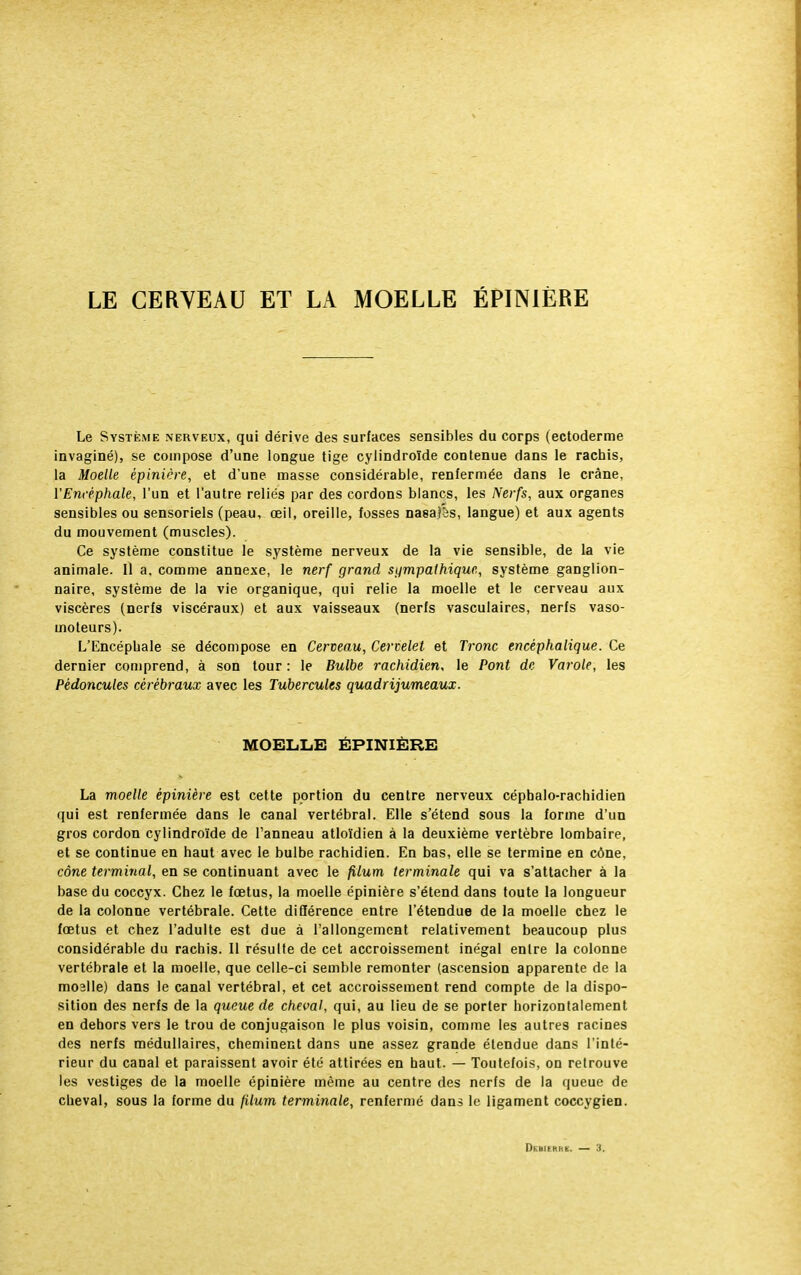 LE CERVEAU ET LA MOELLE ÉPINIÈRE Le Système nerveux, qui dérive des surfaces sensibles du corps (ectoderme invaginé), se compose d'une longue tige cylindroïde contenue dans le rachis, la Moelle épinière, et d'une masse considérable, renfermée dans le crâne, l'Encéphale, l'un et l'autre reliés par des cordons blancs, les Nerfs, aux organes sensibles ou sensoriels (peau, œil, oreille, fosses nasaîSs, langue) et aux agents du mouvement (muscles). Ce système constitue le système nerveux de la vie sensible, de la vie animale. Il a, comme annexe, le nerf grand sympathique, système ganglion- naire, système de la vie organique, qui relie la moelle et le cerveau aux viscères (nerfs viscéraux) et aux vaisseaux (nerfs vasculaires, nerfs vaso- moteurs). L'Encéphale se décompose en Cerveau, Cervelet et Tronc encéphalique. Ce dernier comprend, à son tour : le Bulbe rachidien, le Pont de Varole, les Pédoncules cérébraux avec les Tubercules quadrijumeaux. MOELLE ÉPINIÈRE La moelle épinière est cette portion du centre nerveux céphalo-rachidien qui est renfermée dans le canal vertébral. Elle s'étend sous la forme d'un gros cordon cylindroïde de l'anneau atloïdien à la deuxième vertèbre lombaire, et se continue en haut avec le bulbe rachidien. En bas, elle se termine en cône, cône terminal, en se continuant avec le filum terminale qui va s'attacher a la base du coccyx. Chez le fœtus, la moelle épinière s'étend dans toute la longueur de la colonne vertébrale. Cette différence entre l'étendue de la moelle chez le fœtus et chez l'adulte est due à l'allongement relativement beaucoup plus considérable du rachis. Il résulte de cet accroissement inégal entre la colonne vertébrale et la moelle, que celle-ci semble remonter (ascension apparente de la moalle) dans le canal vertébral, et cet accroissement rend compte de la dispo- sition des nerfs de la queue de cheval, qui, au lieu de se porter horizontalement en dehors vers le trou de conjugaison le plus voisin, comme les autres racines des nerfs médullaires, cheminent dans une assez grande étendue dans l'inté- rieur du canal et paraissent avoir été attirées en haut. — Toutefois, on retrouve les vestiges de la moelle épinière même au centre des nerfs de la queue de cheval, sous la forme du filum terminale, renfermé dans le ligament coccygien. DnilRBC — :t.