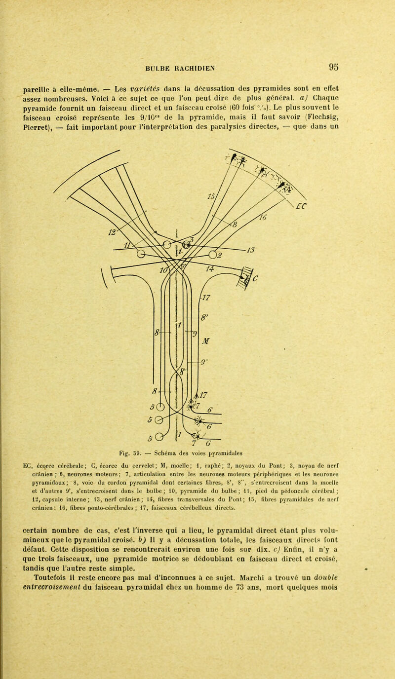 93 pareille à elle-même. — Les variétés dans la déeussation des pyramides sont en effet assez nombreuses. Voici à ce sujet ce que l'on peut dire de plus général, a) Chaque pyramide fournit un faisceau direct et un faisceau croisé (60 fois %). Le plus souvent le faisceau croisé représente les 9/10 de la pyramide, mais il faut savoir (Flechsig, Pierret), — fait important pour l'interprétation des paralysies directes, — que- dans un Fig. 59. — Schéma des voies pyramidales EC, écqrce cérébrale; C, écorce du cervelet; M, moelle; 1, raphé; 2, noyaux du Pont; 3, noyau de nerf crânien; 6, neurones moteurs; 7, articulation entre les neurones moteurs périphériques et les neurones pyramidaux; 8, voie du cordon pyramidal dont certaines fibres, 8', 8, s'entrecroisent dans la moelle et d'autres 9', s'entrecroisent dans le bulbe; 10, pyramide du bulbe; 11, pied du pédoncule cérébral; 12, capsule interne; 13, nerf crânien; 14, fibres transversales du Pont; 15, fibres pyramidales de nerf crânien: 16, fibres ponto-cérébrales ; 17, faisceaux cérébelleux directs. certain nombre de cas, c'est l'inverse qui a lieu, le pyramidal direct étant plus volu- mineux que le pyramidal croisé, b) Il y a déeussation totale, les faisceaux directs font défaut. Cette disposition se rencontrerait environ une fois sur dix. C) Enfin, il n'y a que trois faisceaux, une pyramide motrice se dédoublant en faisceau direct et croisé, tandis que l'autre reste simple. Toutefois il reste encore pas mal d'inconnues à ce sujet. Marchi a trouvé un double entrecroisement du faisceau pyramidal chez un homme de 73 ans, mort quelques mois