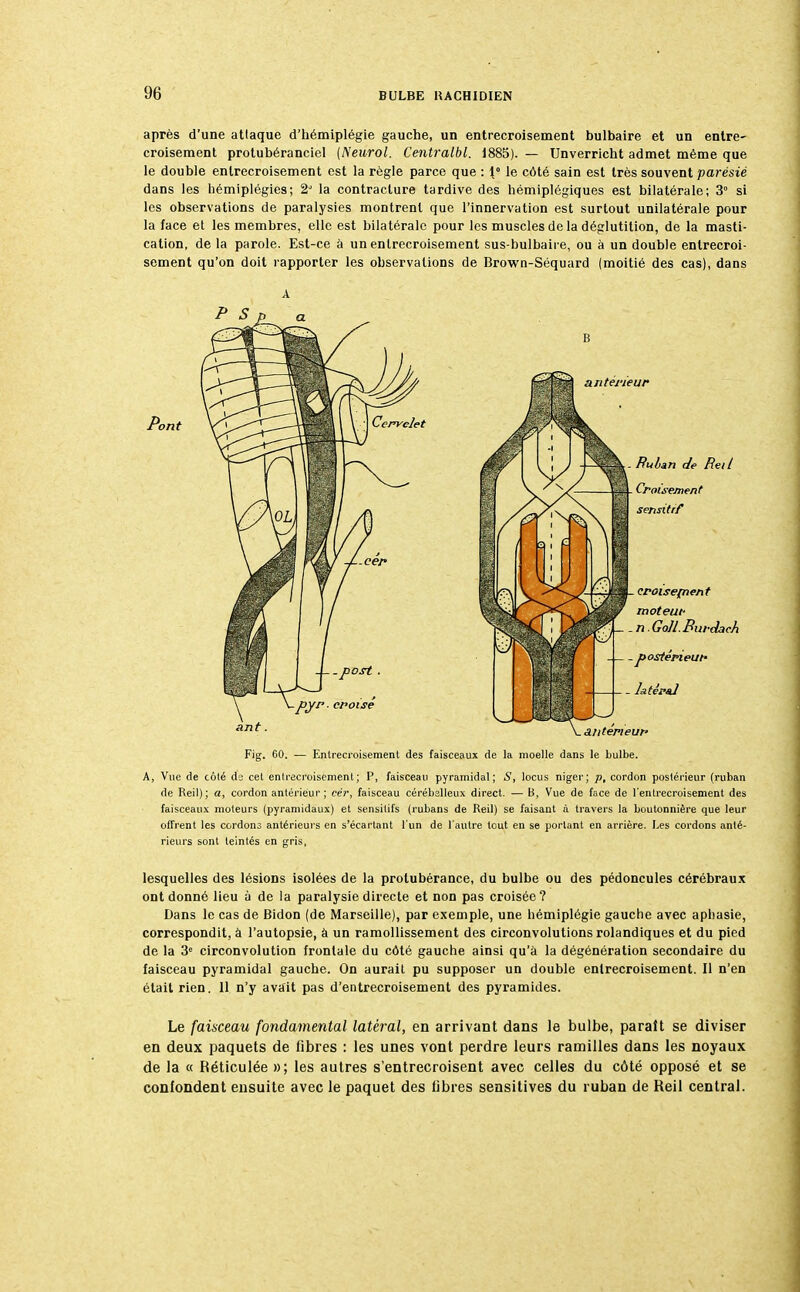 après d'une atlaque d'hémiplégie gauche, un entrecroisement bulbaire et un entre- croisement protubéranciel (Neurol. Centralbl. 1885). — Unverricht admet même que le double entrecroisement est la règle parce que : 1° le côté sain est très souvent parésié dans les hémiplégies; 2 la contracture tardive des hémiplégiques est bilatérale; 3° si les observations de paralysies montrent que l'innervation est surtout unilatérale pour la face et les membres, elle est bilatérale pour les muscles de la déglutition, de la masti- cation, de la parole. Est-ce â un entrecroisement sus-bulbaire, ou à un double entrecroi- sement qu'on doit rapporter les observations de Brown-Séquard (moitié des cas), dans A Pont Fig. 60. — Entrecroisement des faisceaux de la moelle dans le bulbe. A, Vue de côté de cet entrecroisement; P, faisceau pyramidal; S, locus niger; p, cordon postérieur (ruban de Reil); a, cordon antérieur; cér, faisceau cérébelleux direct. — B, Vue de face de l'entrecroisement des faisceaux moteurs (pyramidaux) et sensitifs (rubans de Reil) se faisant à travers la boutonnière que leur offrent les cordons antérieurs en s'écartant l'un de l'autre tout en se portant en arrière. Les cordons anté- rieurs sont teintés en gris, lesquelles des lésions isolées de la protubérance, du bulbe ou des pédoncules cérébraux ont donné lieu à de la paralysie directe et non pas croisée? Dans le cas de Bidon (de Marseille), par exemple, une hémiplégie gauche avec aphasie, correspondit, à l'autopsie, à un ramollissement des circonvolutions rolandiques et du pied de la 3e circonvolution frontale du côté gauche ainsi qu'à la dégénération secondaire du faisceau pyramidal gauche. On aurait pu supposer un double entrecroisement. Il n'en était rien. 11 n'y avait pas d'entrecroisement des pyramides. Le faisceau fondamental latéral, en arrivant dans le bulbe, paraît se diviser en deux paquets de libres : les unes vont perdre leurs ramilles dans les noyaux de la « Réticulée »; les autres s'entrecroisent avec celles du côté opposé et se confondent ensuite avec le paquet des libres sensitives du ruban de Reil central.