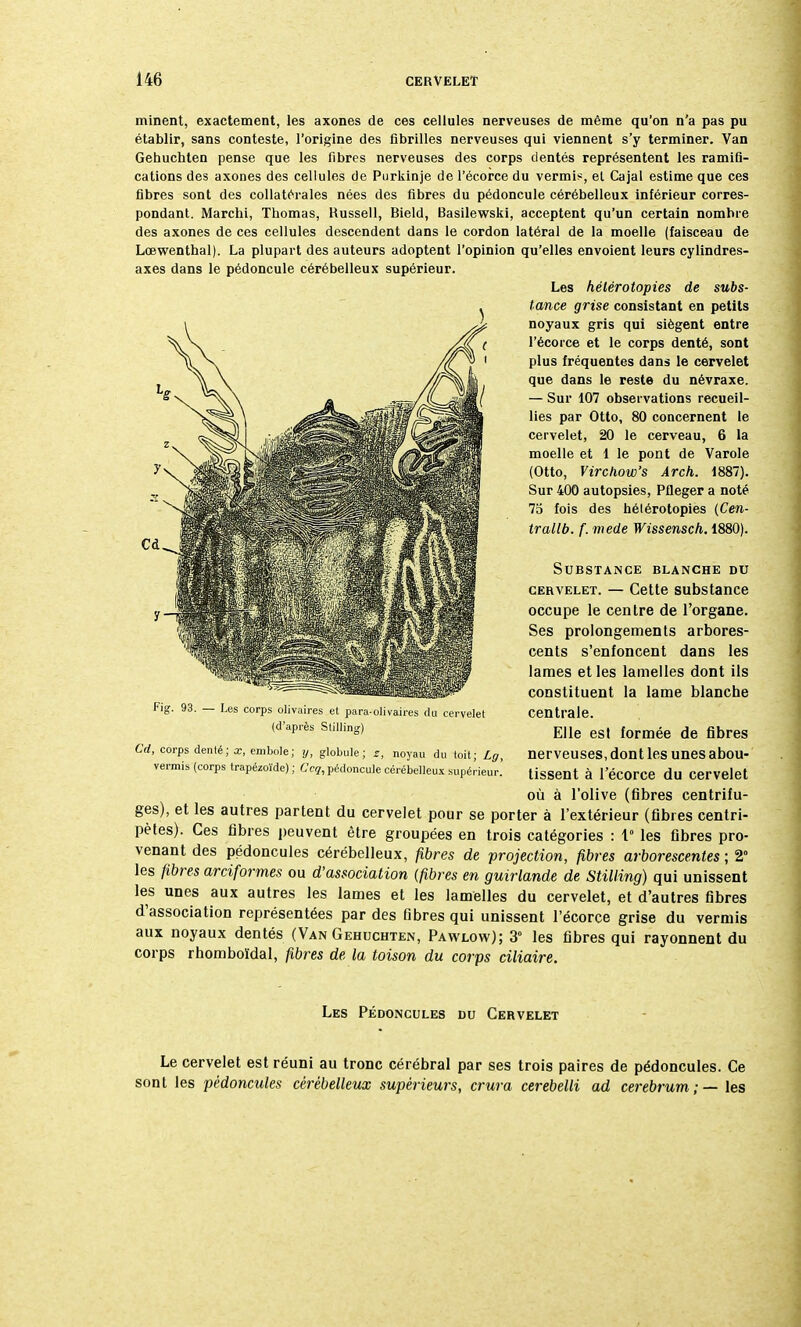 minent, exactement, les axones de ces cellules nerveuses de même qu'on n'a pas pu établir, sans conteste, l'origine des fibrilles nerveuses qui viennent s'y terminer. Van Gehuchten pense que les fibres nerveuses des corps dentés représentent les ramifi- cations des axones des cellules de Purkinje de l'écorce du vermis, el Cajal estime que ces fibres sont des collatérales nées des fibres du pédoncule cérébelleux inférieur corres- pondant. Marchi, Thomas, Hussell, Bield, Basilewski, acceptent qu'un certain nombre des axones de ces cellules descendent dans le cordon latéral de la moelle (faisceau de Lœwenthal). La plupart des auteurs adoptent l'opinion qu'elles envoient leurs cylindres- Les hélérotopies de subs- tance grise consistant en petits noyaux gris qui siègent entre l'écorce et le corps denté, sont plus fréquentes dans le cervelet que dans le reste du névraxe. — Sur 107 observations recueil- lies par Otto, 80 concernent le cervelet, 20 le cerveau, 6 la moelle et 1 le pont de Varole (Otto, Virchow's Arch. 1887). Sur 400 autopsies, Pfleger a noté 7o fois des hélérotopies (Cen- trallb. f. mede Wissensch. 1880). Substance blanche du cervelet. — Cette substance occupe le centre de l'organe. Ses prolongements arbores- cents s'enfoncent dans les lames et les lamelles dont ils constituent la lame blanche centrale. Elle est formée de fibres Cd, corps denté; x, embole; y, globule; z, noyau du toit; Lg, nerveuses, dont les unes aDOU- vermis (corps trapézoïde) ; Coq, pédoncule cérébelleux supérieur. tissent à l'écorce du Cervelet où à l'olive (fibres centrifu- ges), et les autres partent du cervelet pour se porter à l'extérieur (fibres centri- pètes). Ces fibres peuvent être groupées en trois catégories : 1° les fibres pro- venant des pédoncules cérébelleux, fibres de projection, fibres arborescentes ; 2° les fibres arciformes ou d'association (fibres en guirlande de Stilling) qui unissent les unes aux autres les lames et les lamelles du cervelet, et d'autres fibres d'association représentées par des fibres qui unissent l'écorce grise du vermis aux noyaux dentés (Van Gehuchten, Pawlow); 3° les fibres qui rayonnent du corps rhomboïdal, fibres de la toison du corps ciliaire. Les Pédoncules du Cervelet axes dans le pédoncule cérébelleux supérieur. (d'après Stilling) Le cervelet est réuni au tronc cérébral par ses trois paires de pédoncules. Ce sont les pédoncules cérébelleux supérieurs, crura cerebelli ad cerebrum;— les