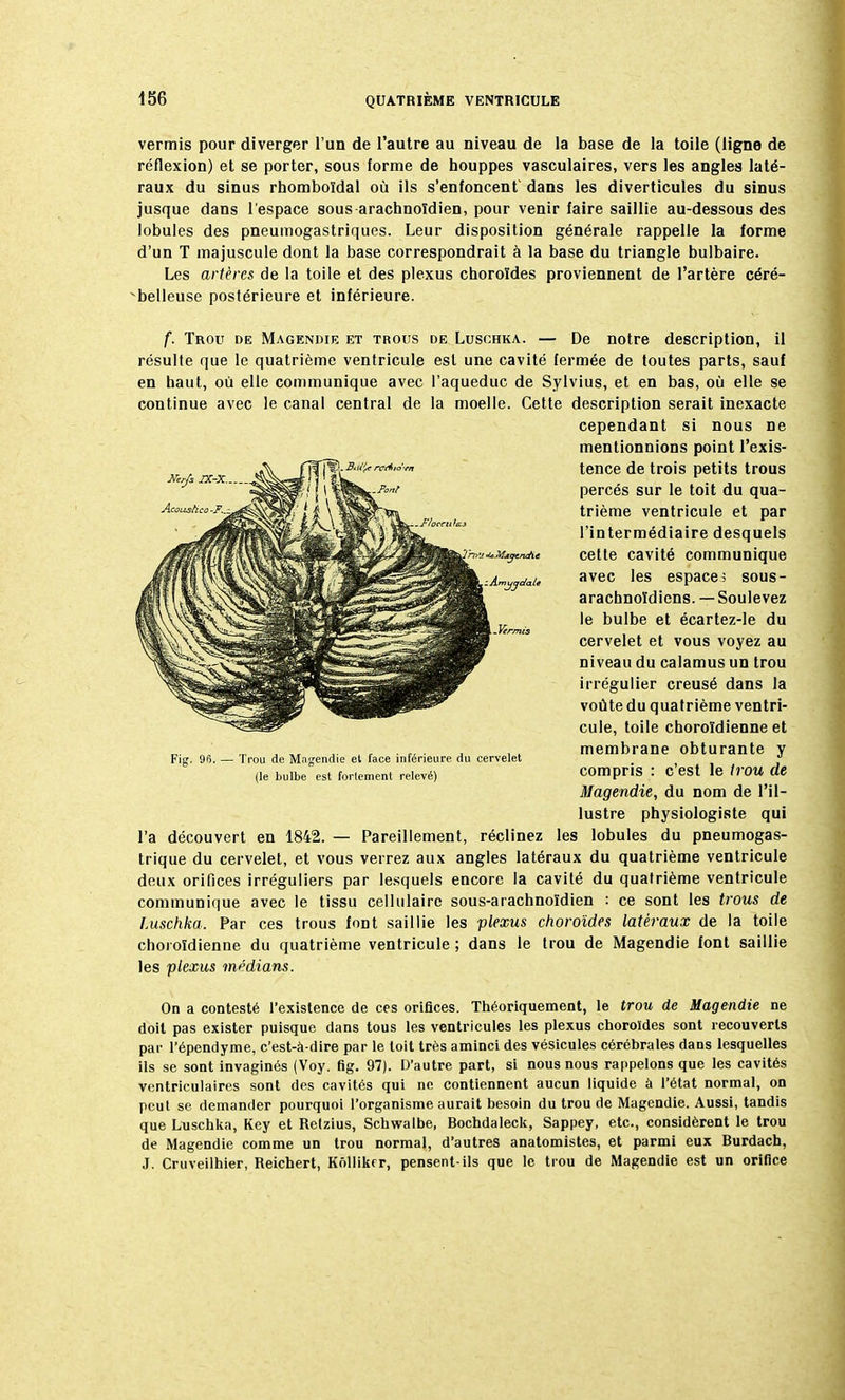 vermis pour diverger l'un de l'autre au niveau de la base de la toile (ligne de réflexion) et se porter, sous forme de houppes vasculaires, vers les angles laté- raux du sinus rhomboïdal où ils s'enfoncent' dans les diverticules du sinus jusque dans l'espace sous arachnoïdien, pour venir faire saillie au-dessous des lobules des pneumogastriques. Leur disposition générale rappelle la forme d'un T majuscule dont la base correspondrait à la base du triangle bulbaire. Les artères de la toile et des plexus choroïdes proviennent de l'artère céré- belleuse postérieure et inférieure. f. Trou de Magendie et trous de Luschka. — De notre description, il résulte que le quatrième ventricule est une cavité fermée de toutes parts, sauf en haut, où elle communique avec l'aqueduc de Sylvius, et en bas, où elle se continue avec le canal central de la moelle. Cette description serait inexacte l'a découvert en 1842. — Pareillement, réclinez les lobules du pneumogas- trique du cervelet, et vous verrez aux angles latéraux du quatrième ventricule deux orifices irréguliers par lesquels encore la cavité du quatrième ventricule communique avec le tissu cellulaire sous-arachnoïdien : ce sont les trous de Luschka. Par ces trous font saillie les plexus choroïdes latéraux de la toile choroïdienne du quatrième ventricule ; dans le trou de Magendie font saillie les plexus médians. On a contesté l'existence de ces orifices. Théoriquement, le trou de Magendie ne doit pas exister puisque dans tous les ventricules les plexus choroïdes sont recouverts par l'épendyme, c'est-à-dire par le toit très aminci des vésicules cérébrales dans lesquelles ils se sont invaginés (Voy. fig. 97). D'autre part, si nous nous rappelons que les cavités ventriculaires sont des cavités qui ne contiennent aucun liquide à l'état normal, on peut se demander pourquoi l'organisme aurait besoin du trou de Magendie. Aussi, tandis que Luschka, Key et Relzius, Schwalbe, Bochdaleck, Sappey, etc., considèrent le trou de Magendie comme un trou normal, d'autres anatomistes, et parmi eux Burdach, J. Cruveilhier, Reichert, Kôllikrr, pensent-ils que le trou de Magendie est un orifice Fig. 96. — Trou de Mngendie et face inférieure du cervelet (le bulbe est fortement relevé) cependant si nous ne mentionnions point l'exis- tence de trois petits trous percés sur le toit du qua- trième ventricule et par l'intermédiaire desquels cette cavité communique avec les espace; sous- arachnoïdiens. — Soulevez le bulbe et écartez-le du cervelet et vous voyez au niveau du calamus un trou irrégulier creusé dans la voûte du quatrième ventri- cule, toile choroïdienne et membrane obturante y compris : c'est le trou de Magendie, du nom de l'il- lustre physiologiste qui