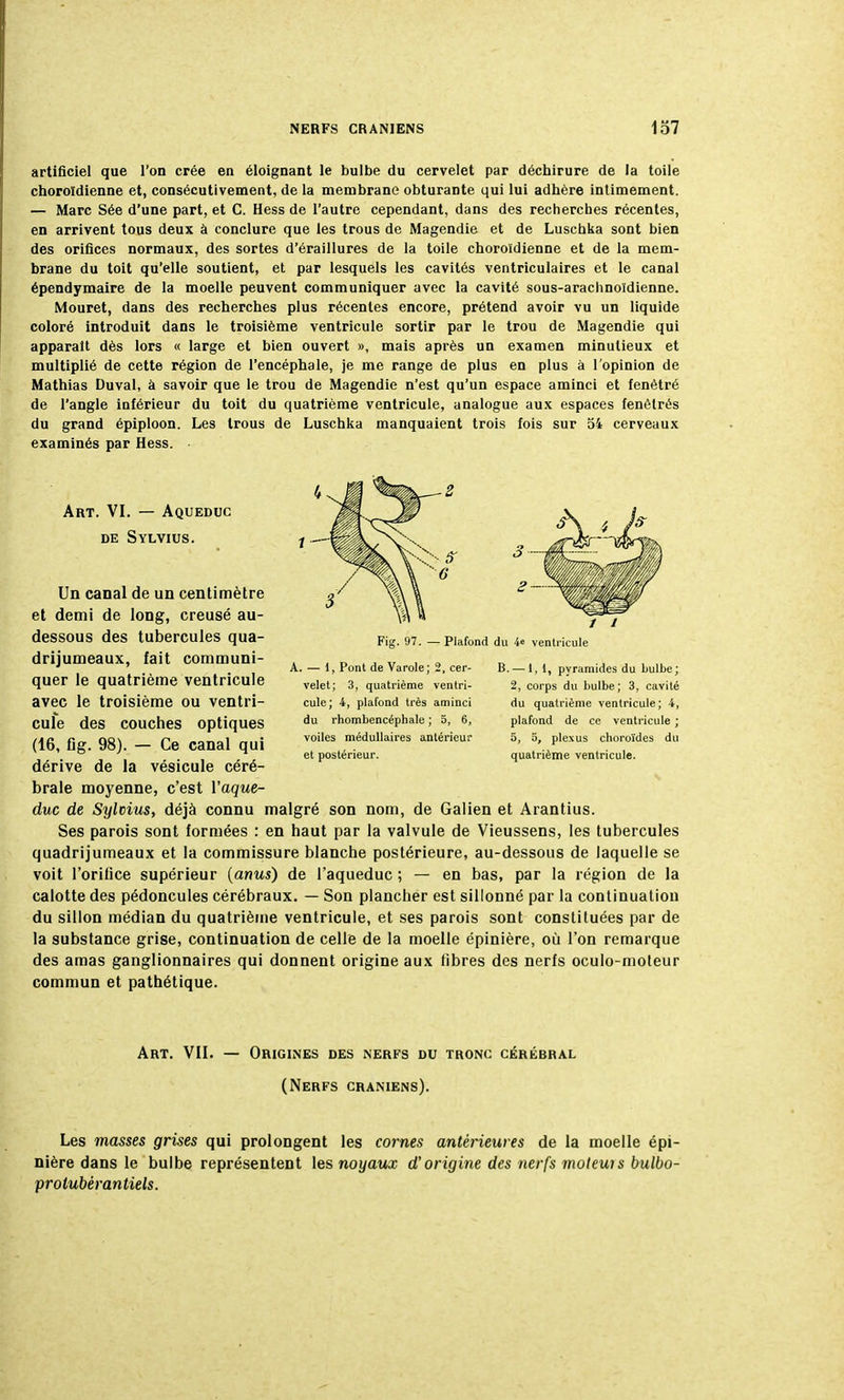 artificiel que l'on crée en éloignant le bulbe du cervelet par déchirure de la toile choroïdienne et, consécutivement, de la membrane obturante qui lui adhère intimement. — Marc Sée d'une part, et C. Hess de l'autre cependant, dans des recherches récentes, en arrivent tous deux à conclure que les trous de Magendie et de Luschka sont bien des orifices normaux, des sortes d'éraillures de la toile choroïdienne et de la mem- brane du toit qu'elle soutient, et par lesquels les cavités ventriculaires et le canal épendymaire de la moelle peuvent communiquer avec la cavité sous-arachnoïdienne. Mouret, dans des recherches plus récentes encore, prétend avoir vu un liquide coloré introduit dans le troisième ventricule sortir par le trou de Magendie qui apparaît dès lors « large et bien ouvert », mais après un examen minutieux et multiplié de cette région de l'encéphale, je me range de plus en plus à l'opinion de Mathias Duval, à savoir que le trou de Magendie n'est qu'un espace aminci et fenètré de l'angle inférieur du toit du quatrième ventricule, analogue aux espaces fenèlrés du grand épiploon. Les trous de Luschka manquaient trois fois sur 54 cerveaux examinés par Hess. Art. VI. — Aqueduc de Sylvius. Un canal de un centimètre et demi de long, creusé au- dessous des tubercules qua- drijumeaux, fait communi- quer le quatrième ventricule avec le troisième ou ventri- cule des couches optiques (16, fig. 98). — Ce canal qui dérive de la vésicule céré- brale moyenne, c'est l'aque- duc de Sylvius, déjà connu malgré son nom, de Galien et Arantius. Ses parois sont formées : en haut par la valvule de Vieussens, les tubercules quadrijumeaux et la commissure blanche postérieure, au-dessous de laquelle se voit l'orifice supérieur (anus) de l'aqueduc ; — en bas, par la région de la calotte des pédoncules cérébraux. — Son plancher est sillonné par la continuation du sillon médian du quatrième ventricule, et ses parois sont constituées par de la substance grise, continuation de celle de la moelle épinière, où l'on remarque des amas ganglionnaires qui donnent origine aux fibres des nerfs oculo-moteur commun et pathétique. Art. VII. — Origines des nerfs du tronc cérébral (Nerfs crâniens). Les masses grises qui prolongent les cornes antérieures de la moelle épi- nière dans le bulbe représentent les noyaux d'origine des nerfs moteuis bulbo- protubérantiels. Fig. 97. — Plafond A. — 1, Pont de Varole; 2, cer- velet; 3, quatrième ventri- cule; 4, plafond très aminci du rhombencéphale ; 5, 6, voiles médullaires antérieur et postérieur. / / du 4e ventricule B. —1,1, pyramides du bulbe; 2, corps du bulbe; 3, cavité du quatrième ventricule; 4, plafond de ce ventricule ; 5, 5, plexus choroïdes du quatrième ventricule.