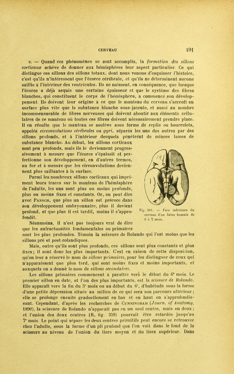 c. — Quand ces phénomènes se sont accomplis, la formation des sillons corticaux achève de donner aux hémisphères leur aspect particulier. Ce qui distingue ces sillons des sillons totaux, dont nous venons d'esquisser l'histoire, c'est qu'ils n'intéressent que l'écorce cérébrale, et qu'ils ne déterminent aucune saillie à l'intérieur des ventricules. Ils ne naissent, en conséquence, que lorsque l'écorce a déjà acquis une certaine épaisseur et que le système des fibres blanches, qui constituent le corps de l'hémisphère, a commencé son dévelop- pement. Ils doivent leur origine à ce que le manteau du cerveau s'accroît en surface plus vite que la substance blanche sous-jacente, et aussi au nombre incommensurable de fibres nerveuses qui doivent aboutir aux éléments cellu- laires de ce manteau où toutes ces fibres doivent nécessairement prendre place. Il en résulte que le manteau se soulève sous forme de replis ou bourrelets, appelés circonvolutions cérébrales ou gyri, séparés les uns des autres par des sillons profonds, et à l'intérieur desquels pénètrént de minces lames de substance blanche. Au début, les sillons corticaux sont peu profonds, mais ils le deviennent progres- sivement à mesure que l'écorce s'épaissit et per- fectionne son développement, en d'autres termes, au fur et à mesure que les circonvolutions devien- nent plus saillantes à la surface. Parmi les nombreux sillons corticaux qui impri- ment leurs traces sur le manteau de l'hémisphère de l'adulte, les uns sont plus ou moins profonds, plus ou moins fixes et constants. Or, on peut dire avec Pansch, que plus un sillon est précoce dans son développement embryonnaire, plus il devient profond, et que plus il est tardif, moins il s'appro- Fi°'- m- ~ Face inférie«re *» cerveau d un fœtus humain de f011^- 6 à 7 mois. Néanmoins, il n'est pas toujours vrai de dire que les anfractuosités fondamentales ou primaires sont les plus profondes. Témoin la scissure de Rolando qui l'est moins que les sillons pré et post-rolandiques. Mais, outre qu'ils sont plus profonds, ces sillons sont plus constants et plus fixes; il sont donc les plus importants. C'est en raison de cette disposiiion, qu'on leur a réservé le nom de sillons primaires, pour les distinguer de ceux qui n'apparaissent que plus tard, qui sont moins fixes et moins importants, et auxquels on a donné le nom de sillons secondaires. Les sillons primaires commencent à paraître vers le début du 6 mois. Le premier sillon en date, et l'un des plus importants, est la scissure de Rolando. Elle apparaît vers la fin du 5P mois ou au début du 6e, d'habitude sous la forme d'une petite dépression située au milieu de ce qui sera son parcours ultérieur; elle se prolonge ensuite graduellement en bas et en haut en s'approfondis- sant. Cependant, d'après les recherches de Cunningham (Journ. of Anatomy, 1890), la scissure de Rolando n'apparaît pas en un seul centre, mais en deux; et l'union des deux centres (R, tig. 359) pourrait être retardée jusqu'au 7 mois. Le point qui sépare les deux centres primitifs peut encore se retrouver chez l'adulte, sous la forme d'un pli profond que l'on voit dans le fond de la scissure au niveau de l'union du tiers moyen et du tiers supérieur. Dans