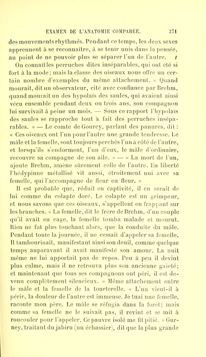 des mouvements rhythmés. Pendant ce temps, les deux sexes apprennent à se reconnaître, à se tenir unis dans la pensée, au point de ne pouvoir plus se séparer l'un de l’autre. I On connaitles perruches dites inséparables, qui ont été si fort à la mode; mais la classe des oiseaux nous offre un cer- tain nombre d’exemples du même attachement. « Quand mourait, dit un observateur, cité avec confiance par Brehm, quand mourait un des hypolaïs des saules, qui avaient ainsi vécu ensemble pendant deux ou trois ans, son compagnon lui survivait à peine un mois. — Sous ce rapport l’hypolaïs des saules se rapproche tout à fait des perruches insépa- rables. » — Le comte de Gourcy, parlant des panures, dit : « Ces oiseaux ont l’un pourl’autre une grande tendresse. Le mâle et la femelle, sont toujours perchés l’un à côté de l’autre, et lorsqu’ils s’endorment, l’un d’eux, le mâle d’ordinaire, recouvre sa compagne de son aile. » — « La mort de l’un, ajoute Brehm, amène sûrement celle de l’autre. En liberté l’hédypinne métallisé vit aussi, étroitement uni avec sa femelle, qui l’accompagne de fleur en fleur. » Il est probable que, réduit en captivité, il en serait de lui comme du colapte doré. Le colapte est un grimpeur, et nous savons que ces oiseaux, s’appellent en frappant sur les branches. « La femelle, dit le frère de Brehm, d’un couple qu’il avait en cage, la femelle tomba malade et mourut. Rien ne fut plus touchant alors, que la conduite du mâle. Pendant toute la journée, il ne cessait d’appeler sa femelle. Il tambourinait, manifestant ainsi son deuil, comme quelque temps auparavant il avait manifesté son amour. La nuit même ne lui apportait pas de repos. Peu à peu il devint plus calme, mais il ne retrouva plus son ancienne gaieté; et maintenant que tous ses compagnons ont péri, il est de- venu complètement silencieux. » Même attachement entre le mâle et la femelle de la tourterelle. « L’un vient-il à périr, la douleur de l’autre est immense. Je tuai une femelle, raconte mon père. Le mâle se réfugia dans la forêt; mais comme sa femelle ne le suivait pas, il revint et se mit à roucouler pour l’appeler. Ce pauvre isolé me fit pitié. » Gur- ney, traitant du jabiru (un échassier), dit que la plus grande