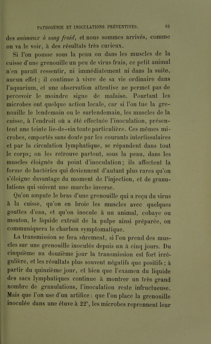 des animaux à sang froid, et nous sommes arrivés, comme on va le voir, à des résultats très curieux. Si l'on pousse sous la peau ou dans les muscles de la cuisse d'une grenouille un peu de virus frais, ce petit animal n'en paraît ressentir, ni immédiatement ni dans la suite, aucun effet ; il continue à vivre de sa vie ordinaire dans l'aquarium, et une observation attentive ne permet pas de percevoir le moindre signe de malaise. Pourtant les microbes ont quelque action locale, car si l'on tue la gre- nouille le lendemain ou le surlendemain, les muscles de la cuisse, à l'endroit où a été effectuée l'inoculation, présen- tent une teinte lie-de-vin toute particulière. Ces mêmes mi- crobes, emportés sans doute par les courants intertissulaires et par la circulaiion lymphatique, se répandent dans tout le corps; on les retrouve partout, sous la peau, dans les muscles éloignés du point d'inoculation; ils affectent la forme de bactéries qui deviennent d'autant plus rares qu'on s'éloigne davantage du moment de l'injection, et de granu- lations qui suivent une marche inverse. Qu'on ampute le bras d'une grenouille qui a reçu du virus à la cuisse, qu'on en broie les muscles avec quelques gouttes d'eau, et qu'on inocule à un animal, cobaye ou mouton, le liquide extrait de la pulpe ainsi préparée, on communiquera le charbon symptomatique. La transmission se fera sûrement, si l'on prend des mus- cles sur une grenouille inoculée depuis un à cinq jours. Du cinquième au douzième jour la transmission est fort irré- gulière, et les résultats plus souvent négatifs que positifs ; à partir du quinzième jour, et bien que l'examen du liquide des sacs lymphatiques continue à montrer un très grand nombre de granulations, l'inoculation reste infructueuse. Mais que l'on use d'un artifice: que Ton place la grenouille inoculée dans une étuve à 22°, les microbes reprennent leur