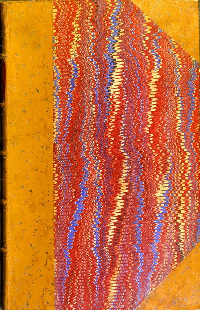 No text description is available for this image