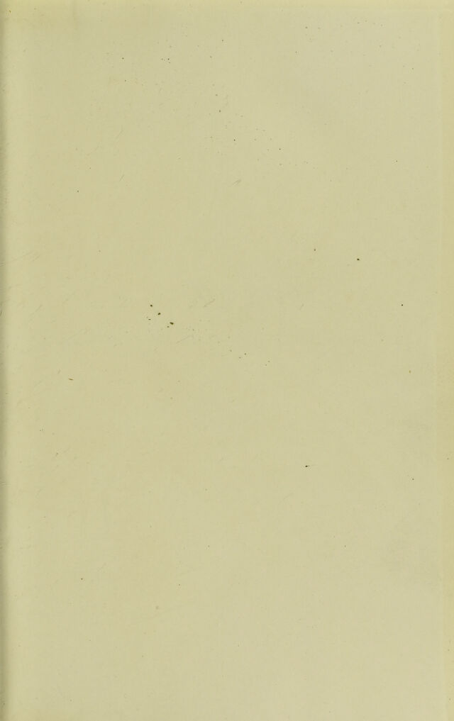 digitised image 3