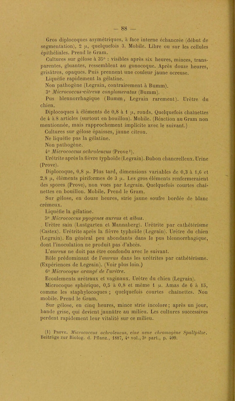 Gros diplocoques asymétriques, à face interne échancrée (début de segmentation), 2 p, quelquefois 3. Mobile. Libre ou sur les cellules épithéliales. Prend le Gram. Cultures sur gélose à 35° : visibles après six heures, minces, trans- parentes, gluantes, ressemblent au gonocoque. Après douze heures, grisâtres, opaques. Puis prennent une couleur jaune ocreuse. Liquéfie rapidement la gélatine. Non pathogène (Legrain, contrairement à Bumm). 3° Micrococcus'citreus conglomeratus (Bumm). Pus blennorrhagique (Bumm, Legrain rarement). Urètre du chien. Diplocoques à éléments de 0,8 à 1 p, ronds. Quelquefois chaînettes de 4 à 8 articles (surtout en bouillon). Mobile. (Réaction au Gram non mentionnée, mais rapprochement implicite avec le suivant.) Cultures sur gélose épaisses, jaune citron. Ne liquéfie pas la gélatine. Non pathogène. 4° Micrococcus ochroleucus (Prove1). Urétrite après la fièvre typhoïde (Legrain). Bubon chancrelleux. Urine (Prove). Diplocoque, 0,8 p. Plus tard, dimensions variables de 0,3 à 1,0 et 2,8 p, éléments piriformes de 3 p. Les gros éléments renfermeraient des spores (Prove), non vues par Legrain. Quelquefois courtes chaî- nettes en bouillon. Mobile. Prend le Gram. Sur gélose, en douze heures, strie jaune soufre bordée de blanc crémeux. Liquéfie la gélatine. 5° Micrococcus pyogènes aurcus et albus. Urètre sain (Lustgarten eL Mannaberg). Urétrite par cathétérisme (Castex). Urétrite après la fièvre typhoïde (Legrain). Urètre du chien (Legrain). En général peu abondants dans le pus blennorrhagique, dont l’inoculation ne produit pas d’abcès. Vaureus ne doit pas être confondu avec le suivant. Rôle prédominant de Vaureus dans les urétrites par cathétérisme. (Expériences de Legrain). (Voir plus loin.) 6° Microcoque orangé de Vurètre. Ecoulements urétraux et vaginaux. Urètre du chien (Legrain). Microcoque sphérique, 0,5 à 0,8 et même 1 p. Amas de 6 à la, comme les staphylocoques ; quelquefois courtes chaînettes. Non mobile. Prend le Gram. Sur gélose, en cinq heures, mince strie incolore; après un jour, bande grise, qui devient jaunâtre au milieu. Les cultures successives perdent rapidement leur vitalité sur ce milieu. (1) Prove. Micrococcus ochroleucus, eine nene chromogène Spallpilze. Beitrage zur Biolog. cl. Pffanz., 1887, 4« vol., 3e part., p. 409.