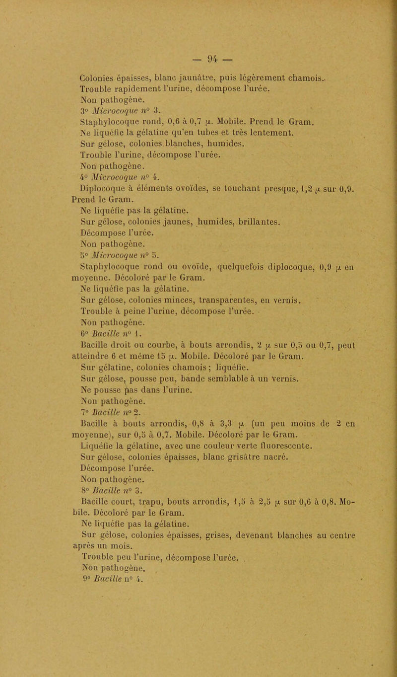 Colonies épaisses, blanc jaunâtre, puis légèrement chamois.. Trouble rapidement l’urine, décompose l’urée. Non pathogène. 3° Microcoque n° 3. Staphylocoque rond, 0,6 à 0,7 p. Mobile. Prend le Gram. Ne liquéfie la gélatine qu'en tubes et très lentement. Sur gélose, colonies blanches, humides. Trouble l’urine, décompose l’urée. Non pathogène. 4° Microcoque n° 4. Diplocoque à éléments ovoïdes, se touchant presque, 1,2 p sur 0,0. Prend le Gram. Ne liquéfie pas la gélatine. Sur gélose, colonies jaunes, humides, brillantes. Décompose l’urée. Non pathogène. 5° Microcoque n° 5. Staphylocoque rond ou ovoïde, quelquefois diplocoque, 0,0 p en moyenne. Décoloré par le Gram. Ne liquéfie pas la gélatine. Sur gélose, colonies minces, transparentes, en vernis. Trouble à peine l’urine, décompose l’urée. • Non pathogène. 6° Bacille n° 1. bacille droit ou courbe, à bouts arrondis, 2 p sur 0,5 ou 0,7, peut atteindre 6 et même 15 p. Mobile. Décoloré par le Gram. Sur gélatine, colonies chamois ; liquéfie. Sur gélose, pousse peu, bande semblable à un Vernis. Ne pousse pas dans l’urine. Non pathogène. 7° Bacille n° 2. Bacille à bouts arrondis, 0,8 à 3,3 p (un peu moins de 2 en moyenne), sur 0,5 à 0,7. Mobile. Décoloré par le Gram. Liquéfie la gélatine, avec une couleur verte fluorescente. Sur gélose, colonies épaisses, blanc grisâtre nacré. Décompose l’urée. Non pathogène. 8° Bacille n° 3. Bacille court, trapu, bouts arrondis, 1,5 à 2,5 p sur 0,6 à 0,8. Mo- bile. Décoloré par le Gram. Ne liquéfie pas la gélatine. Sur gélose, colonies épaisses, grises, devenant blanches au centre après un mois. Trouble peu l’urine, décompose l’urée. Non pathogène. 9° Bacille n° 4.