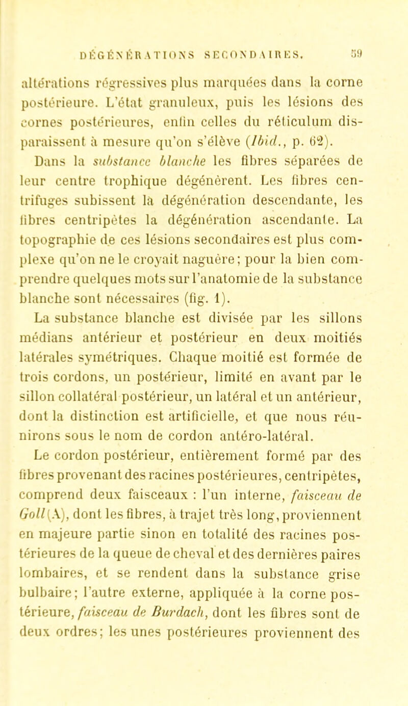 altérations régressives plus marquées dans la corne postérieure. L’état granuleux, puis les lésions des cornes postérieures, enfin celles du réticulum dis- paraissent à mesure qu’on s’élève (Ibid., p. 62). Dans la substance blanche les fibres séparées de leur centre trophique dégénèrent. Les fibres cen- trifuges subissent la dégénération descendante, les libres centripètes la dégénération ascendante. La topographie de ces lésions secondaires est plus com- plexe qu’on ne le croyait naguère; pour la bien com- prendre quelques mots sur l’anatomie de la substance blanche sont nécessaires (fig. 1). La substance blanche est divisée par les sillons médians antérieur et postérieur en deux moitiés latérales symétriques. Chaque moitié est formée de trois cordons, un postérieur, limité en avant par le sillon collatéral postérieur, un latéral et un antérieur, dont la distinction est artificielle, et que nous réu- nirons sous le nom de cordon antéro-latéral. Le cordon postérieur, entièrement formé par des fibres provenant des racines postérieures, centripètes, comprend deux faisceaux : l’un interne, faisceau de Goll(k), dont les fibres, à trajet très long, proviennent en majeure partie sinon en totalité des racines pos- térieures de la queue de cheval et des dernières paires lombaires, et se rendent dans la substance grise bulbaire; l’autre externe, appliquée à la corne pos- térieure, faisceau de Burdach, dont les fibres sont de deux ordres; les unes postérieures proviennent des