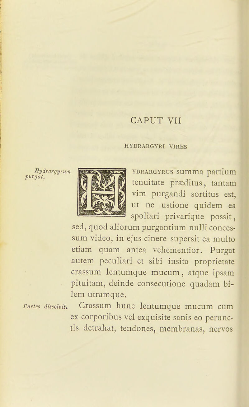 CAPUT VII HYDRARGYRI VIRES Bydrnrtjyium I^^^^^^^Sj YDRARGYRUS SUmma partium pvrgaC. fflk kI tenuitate praeditus, tantam vim purgandi sortitus est, ut ne ustione quidem ea spoliari privarique possit, sed, quod aliorum purgantium nulli conces- sum video, in ejus cinere supersit ea multo etiam quam antea vehementior. Purgat auteni peculiari et sibi insita proprietate crassum lentumque mucum, atque ipsam pituitam, deinde consecutione quadam bi- lem utramque. Partes dissoîvit. Crassum liunc lentumquc mucum cum ex corporibus vel exquisite sanis eo perunc- tis detraliat, tendones, membranas, nervos