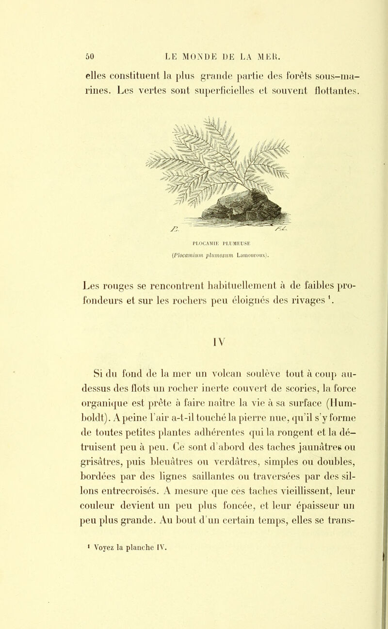 elles constituent la plus grande partie des forêts sous-ma- rines. Les vertes sont superficielles et souvent flottantes. PLOCAMIE PMJMEUSE [Plocamium plumosum Lamouroux). Les rouges se rencontrent habituellement à de faibles pro- fondeurs et sur les rochers peu éloignés des rivages 1. IV Si du fond de la mer un volcan soulève tout à coup au- dessus des flots un rocher inerte couvert de scories, la force organique est prête à faire naître la vie à sa surface (Hum- boldt). A peine Pair a-t-il touché la pierre nue, qu'il s'y forme de toutes petites plantes adhérentes qui la rongent et la dé- truisent peu à peu. Ce sont d'abord des taches jaunâtres ou grisâtres, puis bleuâtres ou verdâtres, simples ou doubles, bordées par des lignes saillantes ou traversées par des sil- lons entrecroisés. A mesure que ces taches vieillissent, leur couleur devient un peu plus foncée, et leur épaisseur un peu plus grande. Au bout d'un certain temps, elles se trans- 1 Voyez la planche IV.