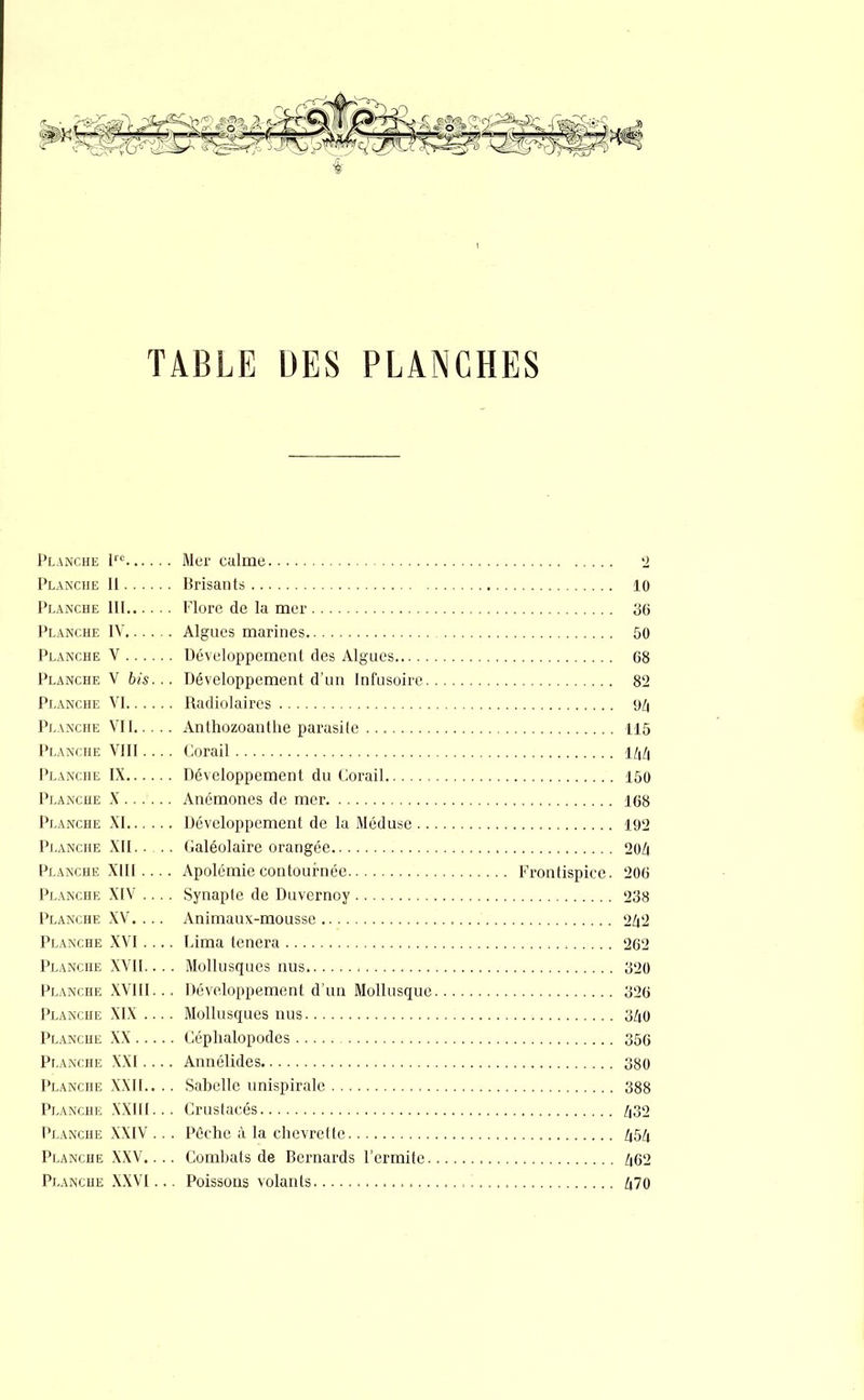 Planche lre Mer calme Planche II Brisants Planche III Flore de la mer Planche IV Algues marines Planche V Développement des Algues Planche V bis... Développement d'un Infusoire Planche VI Radiolaires Planche VII Anthozoanthe parasite Planche VIII.... Corail Planche IX Développement du Corail Planche X Anémones de mer Planche XI Développement de la Méduse Planche XII Galéolaire orangée Planche XIII .... Apolémie contournée Frontispice. Planche XIV .... Synapte de Duvernoy Planche XV. . .. Animaux-mousse Planche XVI .... Lima tenera Planche XVII.. . . Mollusques nus Planche XVIII... Développement d'un Mollusque Planche XIX .... Mollusques nus Planche XX Céphalopodes Planche XXI.... Annélides Planche XXII.. .. Sabclle unispirale Planche XXIII... Crustacés Planche XXIV . . . Pèche à la chevrette Planche XXV.... Combats de Bernards l'ermite Planche XXVI... Poissons volants -2 10 36 50 68 82 94 115 144 150 168 192 20/| 206 238 242 262 320 326 340 356 380 388 432 454 462 470