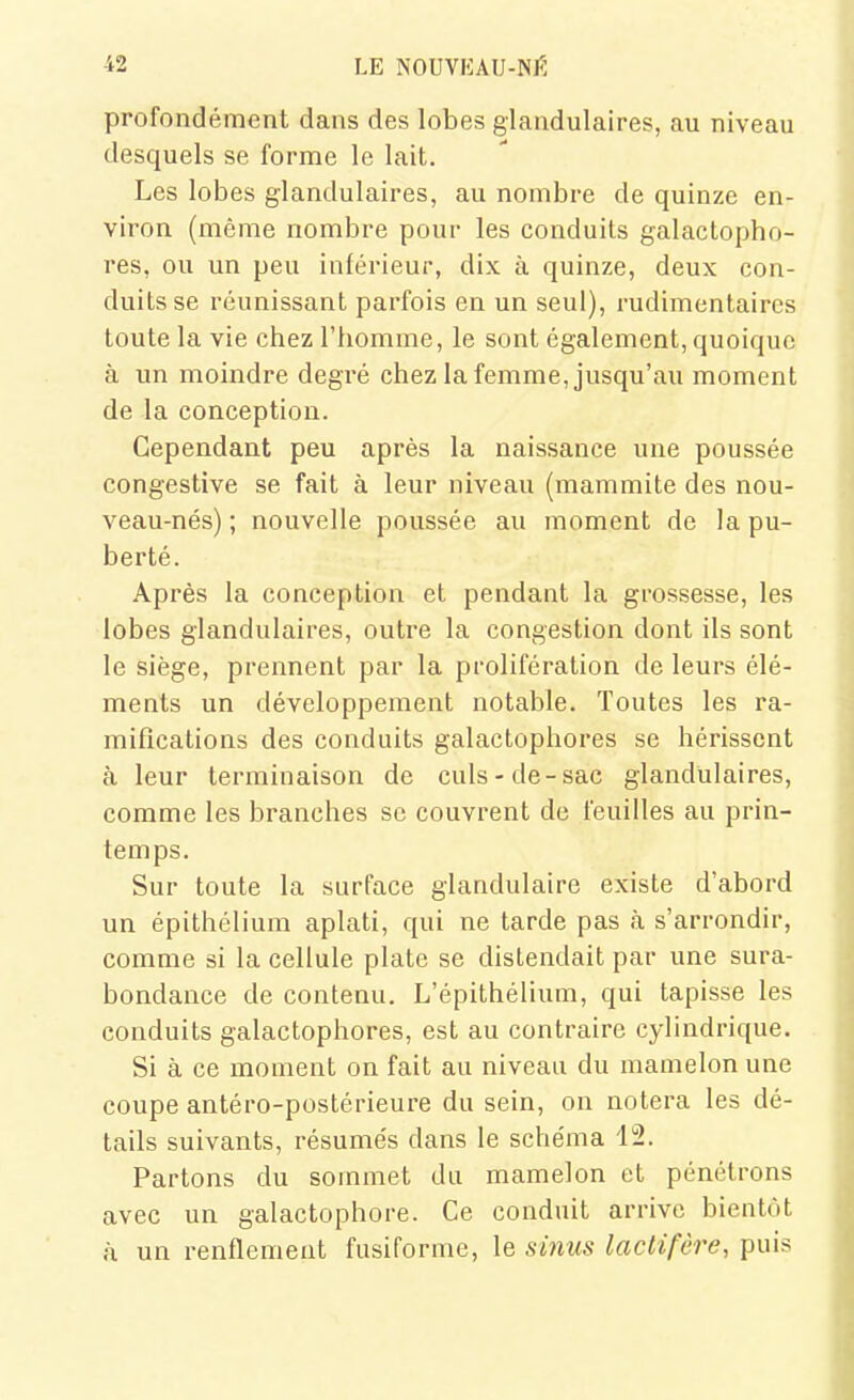profondément dans des lobes glandulaires, au niveau desquels se forme le lait. Les lobes glandulaires, au nombre de quinze en- viron (même nombre pour les conduits galactopbo- res, ou un peu inférieur, dix à quinze, deux con- duits se réunissant parfois en un seul), rudimentaires toute la vie chez l'homme, le sont également, quoique à un moindre degré chez la femme, jusqu'au moment de la conception. Cependant peu après la naissance une poussée congestive se fait à leur niveau (mammite des nou- veau-nés) ; nouvelle poussée au moment de la pu- berté. Après la conception et pendant la grossesse, les lobes glandulaires, outre la congestion dont ils sont le siège, prennent par la prolifération de leurs élé- ments un développement notable. Toutes les ra- mifications des conduits galactophores se hérissent à leur terminaison de culs-de-sac glandulaires, comme les branches se couvrent de feuilles au prin- temps. Sur toute la surface glandulaire existe d'abord un épithélium aplati, qui ne tarde pas à s'arrondir, comme si la cellule plate se distendait par une sura- bondance de contenu. L'épithélium, qui tapisse les conduits galactophores, est au contraire cylindrique. Si à ce moment on fait au niveau du mamelon une coupe antéro-postérieure du sein, on notera les dé- tails suivants, résumés dans le schéma 12. Partons du sommet du mamelon et pénétrons avec un galactophore. Ce conduit arrive bientôt à un renflement fusiforme, le si7ius laclifèi'e, puis