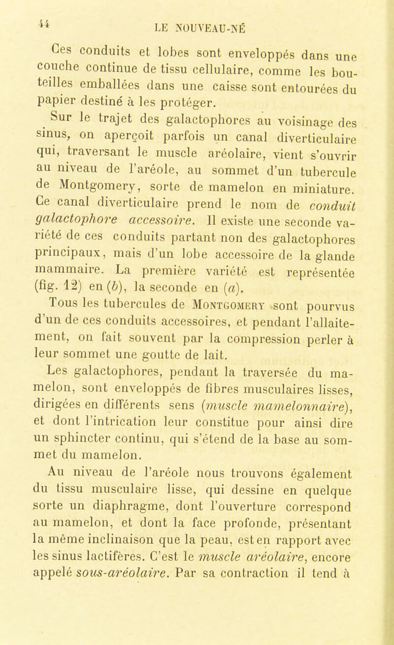 Ces conduits et lobes sont enveloppés dans une couche continue de tissu cellulaire, comme les bou- teilles emballées dans une caisse sont entourées du papier destine' à les protéger. ^ Sur le trajet des galactophores au voisinage des sinus, on aperçoit parfois un canal diverticulaire qui, traversant le muscle aréolaire, vient s'ouvrir au niveau de l'aréole, au sommet d'un tubercule de Montgomery, sorte de mamelon en miniature. Ce canal diverticulaire prend le nom de conduit galactophore accessoire. Il existe une seconde va- riété de ces conduits partant non des galactophores principaux, mais d'un lobe accessoire de la glande mammaire. La première variété est représentée (fîg. 12) en (6), la seconde en {a). Tous les tubercules de Montgomery sont pourvus d'un de ces conduits accessoires, et pendant l'allaite- ment, on fait souvent par la compression perler à leur sommet une goutte de lait. Les galactophores, pendant la traversée du ma- melon, sont enveloppés de fibres musculaires lisses, dirigées en différents sens {muscle mamelonnaire), et dont l'intrication leur constitue pour ainsi dire un sphincter continu, qui s'étend de la base au som- met du mamelon. Au niveau de l'aréole nous trouvons également du tissu musculaire lisse, qui dessine en quelque sorte un diaphragme, dont l'ouverture correspond au mamelon, et dont la face profonde, présentant la même inclinaison que la peau, est en rapport avec les sinus lactifères. C'est le muscle aréolaire, encore appelé sous-aréolaire. Par sa contraction il tend à