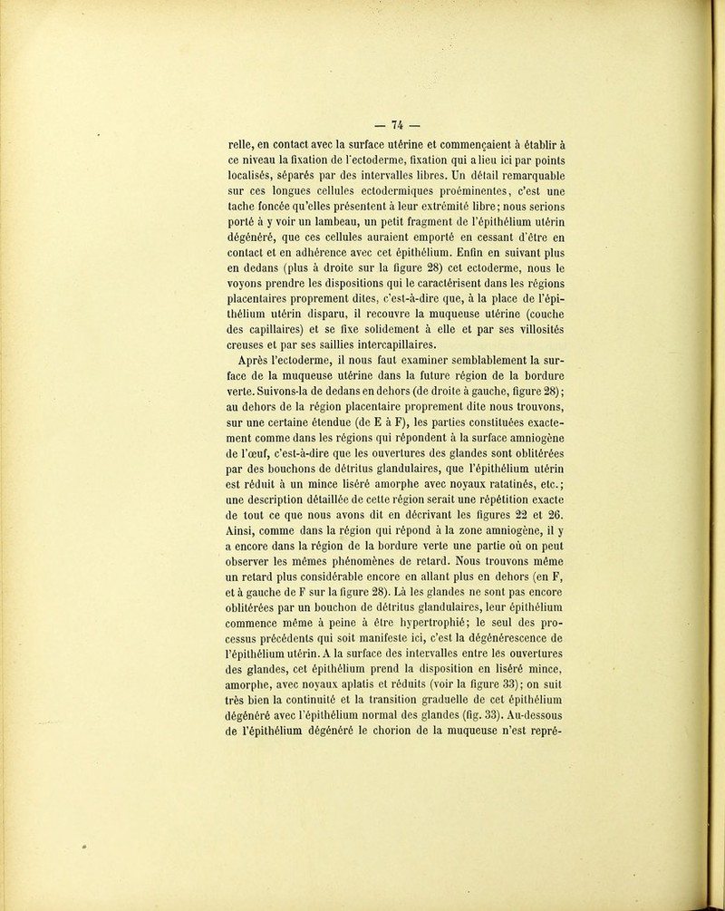 relie, en contact avec la surface utérine et commençaient à établir à ce niveau la fixation de l'ectoderme, fixation qui a lieu ici par points localisés, séparés par des intervalles libres. Un détail remarquable sur ces longues cellules ectodermiques proéminentes, c'est une tache foncée qu'elles présentent à leur extrémité libre; nous serions porté à y voir un lambeau, un petit fragment de l'épithélium utérin dégénéré, que ces cellules auraient emporté en cessant d'être en contact et en adhérence avec cet épithélium. Enfin en suivant plus en dedans (plus à droite sur la figure 28) cet ectoderme, nous le voyons prendre les dispositions qui le caractérisent dans les régions placentaires proprement dites, c'est-à-dire que, à la place de l'épi- thélium utérin disparu, il recouvre la muqueuse utérine (couche des capillaires) et se fixe sohdement à elle et par ses villosités creuses et par ses saillies intercapillaires. Après l'ectoderme, il nous faut examiner semblablement la sur- face de la muqueuse utérine dans la future région de la bordure verte. Suivons-la de dedans en dehors (de droite à gauche, figure 28) ; au dehors de la région placentaire proprement dite nous trouvons, sur une certaine étendue (de E à F), les parties constituées exacte- ment comme dans les régions qui répondent à la surface amniogène de l'œuf, c'est-à-dire que les ouvertures des glandes sont oblitérées par des bouchons de détritus glandulaires, que l'épithélium utérin est réduit à un mince Uséré amorphe avec noyaux ratatinés, etc. ; une description détaillée de cette région serait une répétition exacte de tout ce que nous avons dit en décrivant les figures 22 et 26. Ainsi, comme dans la région qui répond à la zone amniogène, il y a encore dans la région de la bordure verte une partie où on peut observer les mêmes phénomènes de retard. Nous trouvons même un retard plus considérable encore en allant plus en dehors (en F, et à gauche de F sur la figure 28). Là les glandes ne sont pas encore obUtérées par un bouchon de détritus glandulaires, leur épithélium commence même à peine à être hypertrophié; le seul des pro- cessus précédents qui soit manifeste ici, c'est la dégénérescence de l'épithéliumutérin. A la surface des intervalles entre les ouvertures des glandes, cet épilhéhum prend la disposition en liséré mince, amorphe, avec noyaux aplatis et réduits (voir la figure 33); on suit très bien la continuité et la transition graduelle de cet épithélium dégénéré avec l'épithélium normal des glandes (fig. 33). Au-dessous de l'épithélium dégénéré le chorion de la muqueuse n'est repré-