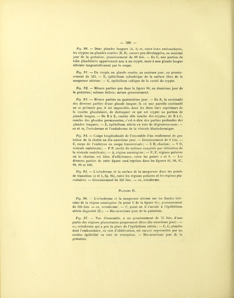 Fig. 90. — Deux glandes longues (A, A) et, eiiLie leurs embouchures, les cryptes ou glandes courtes (B, B), encore peu développées, au onzième jour de la gestation ; grossissement de 80 fois. — Eu C, une portion de tube glandulaire appartenant non à un crypte, mais à une glande longue atteinte tangentiellement par la coupe. Fig. 94. — Un crypte ou glande courte, au onzième jour, au grossis- sement de 32t). — E, épithélium cylindrique de la surface libre de la muqueuse utérine; — G, épithélium cubique de la cavité du crypte. Fig. 92. — Mêmes parties que dans la figure 90, au douzième jour de la gestation; mêmes lettres; même grossissement. Fig. 93. — Mêmes parties au quatorzième jour. — En B, la continuité des diverses parties d'une glande longue; là où une pareille continuité ne se présente pas, il est impossible, dans les deux tiers supérieurs de la couche glandulaire, de distinguer ce qui est crypte ou portion de glande longue. — De B à E, couche dite couche des cryptes; de B à C, couche des glandes permanentes, c'est-à-dire des parties profondes des glandes longues; — E, épithélium utérin en voie de dégénérescence; — ex et in, l'ectoderme et l'endoderme de la vésicule blastodermique. Fig. 9i. — Coupe longitudinale de l'ensemble d'un renflement de ges- tation de la chatte au dix-neuvième jour. — Grossissement de 8 fois. — E, corps de l'embryon en coupe transversale; — C H, chorion; — V 0, vésicule ombilicale; — P P, cavité du cœlome exagérée par rétraction de la vésicule ombilicale; — A, région amniogène; — P, P, régions polaires où le chorion est libre d'adhérences, entre les points o et b. — Les diverses parties de cette figure sont reprises dans les figures 93, 96, 97, 98, 99 et 100. Fig. 95. — L'ectoderme et la surface de la muqueuse dans les points de transition (a et b, fig. 94), entre les régions polaires et les régions pla- centaires. — Grossissement de 325 fois; — ex, ectoderme. Planche IX. Fig. 96. — L'ectoderme el la muqueuse utérine sur les limites laté- rales de la région amniogène (le point C de la figure 94); grossissement de 325 fois. — ex, ectoderme; — C, point où. il s'accole à l'épithélium utérin dégénéré (E.). — Dix-neuvième jour de la gestation. Fig. 97. — Vue d'ensemble, à un grossissement de 73 fois, d'une partie des régions placentaires proprement dites (dix-neuvième jour) : — ex, ectoderme qui a pris la place de l'épithélium utérin ; — G, C, glandes dont l'embouchure, en voie d'oblitération, est encore représentée par un cordon épithélial en voie de résorption. — Dix-neuvième jour de la gestation.