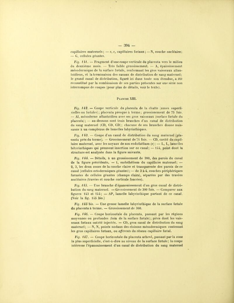 capillaires maternels; — c, c, capillaires fœtaux; — N, couche nucléaire; — G, cellules géantes. Fig. m. — Fragment d'une coupe verticale du placenta vers le milieu du deuxième mois. — Très faible grossissement. — A, épaississement mésodermique de la surface fœtale, renfermant les gros vaisseaux allan- loïdiens, et la terminaison des canaux de distribution de sang maternel; le grand canal de distribution, figuré ici dans toute son étendue, a été reconstitué par la combinaison de ses parties présentes sur une série non interrompue de coupes (pour plus de détails, voir le texte). Planche XIII. FiQ. 142. — Coupe verticale du placenta de la chatte (zones superfi- cielles ou fœtales); placenta presque à terme; grossissement de 75 fois. — Al, mésoderne allantoïdien avec ses gros vaisseaux (surface fœtale du placenta) ; — au-dessous sont trois branches d'un canal de distribution du sang maternel (CD, CD, CD); chacune de ces branches donne nais- sance à un complexus de lamelles labyrinthiques. Fig. ii3. — Coupe d'un canal de distribution du sang maternel (pla- centa près du terme). — Grossissement de 74 fois. —CD, cavité du capil- laire maternel, avec les noyaux de son endolhélium (e) ; — L, L, lamelles labyrinthiques qui prennent insertion sur ce canal; — 144, point dont la structure est analysée dans la figure suivante. Fig'. m. — Détails, à un grossissement de 380, des parois du canal de la figure précédente. — I, endothélium du capillaire maternel; — 2, 3, les deux zones de la couche claire et transparente des parois de ce canal (cellules ectodermiques géantes); — de 3 à4, couches périphériques formées de cellules géantes (champs clairs), séparées par des travées nucléaires (travées et couche corticale foncées). Fig. 1i5. — Une branche d'épanouissement d'un gros canal de distri- bution du sang maternel. — Grossissement de 300 fois. — Comparer aux figures 143 et 144; —AP, lamelle labyrinlhique partant de ce canal. (Voir la fig. 145 bis.) Fig. 145 bis. — Une grosse lamelle labyrinlhique de la surface fœtale du placenta à terme. — Grossissement de 360. Fig. 146. — Coupe horizontale du placenta, passant par les régions moyennes ou profondes (loin de la surface fœtale); pièce dont les vais- seaux fœtaux ont été injectés. — CD, gros canal de distribution du sang maternel; — N, N, points nodaux des cloisons mésodermiques contenant les gros capillaires fœtaux, ou afférents du réseau capillaire fœtal. Fig. 147. — Coupe horizontale du placenta achevé, passant par la zone la plus superficielle, c'est-à-dire au niveau de la surface fœtale; la coupe intéresse l'épanouissement d'un canal de distribution du sang maternel