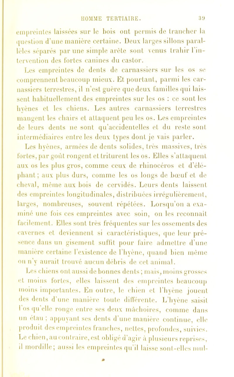 empreintes laissées sur le bois ont permis de trancher la question d’une manière certaine. Deux larges sillons paral- lèles séparés par une simple arête sont venus trahir l’in- tervention des fortes canines du castor. Les empreintes de dents de carnassiers sur les os se comprennent beaucoup mieux. Et pourtant, parmi les car- nassiers terrestres, il n’est guère que deux familles qui lais- sent habituellement des empreintes sur les os : ce sont les livènes et les chiens. Les autres carnassiers terrestres mangent les chairs et attaquent peu les os. Les empreintes de leurs dents ne sont qu’accidentelles et du reste sont intermédiaires entre les deux types dont je vais parler. Les hyènes, armées de dents solides, très massives, très fortes, par goût rongent et triturent les os. Elles s’attaquent aux os les plus gros, comme ceux de rhinocéros et d’élé- phant ; aux plus durs, comme les os longs de bœuf et de cheval, môme aux bois de cervidés. Leurs dents laissent îles empreintes longitudinales, distribuées irrégulièrement, larges, nombreuses, souvent répétées. Lorsqu’on a exa- miné une fois ces empreintes avec soin, on les reconnaît facilement. Elles sont très fréquentes sur les ossements des cavernes et deviennent si caractéristiques, que leur pré- sence dans un gisement suffit pour faire admettre d’une manière certaine l’existence de l’hyène, quand bien même on n y aurait trouvé aucun débris de cet animal. Les chiens ont aussi de bonnes dents ; mais, moins grosses et moins fortes, elles laissent des empreintes beaucoup moins importantes. En outre, le chien et l’hyène jouent des dents d’une manière toute différente. L’hyène saisit I os qu elle ronge entre ses deux mâchoires, comme dans un étau : appuyant ses dents d’une manière continue, elle produit des empreintes franches, nettes, profondes, suivies. Le chien, au eonlraire, est oblige d agir à plusieurs reprises, il mord11le ; aussi les empreintes qu il laisse sonI - clles muI-