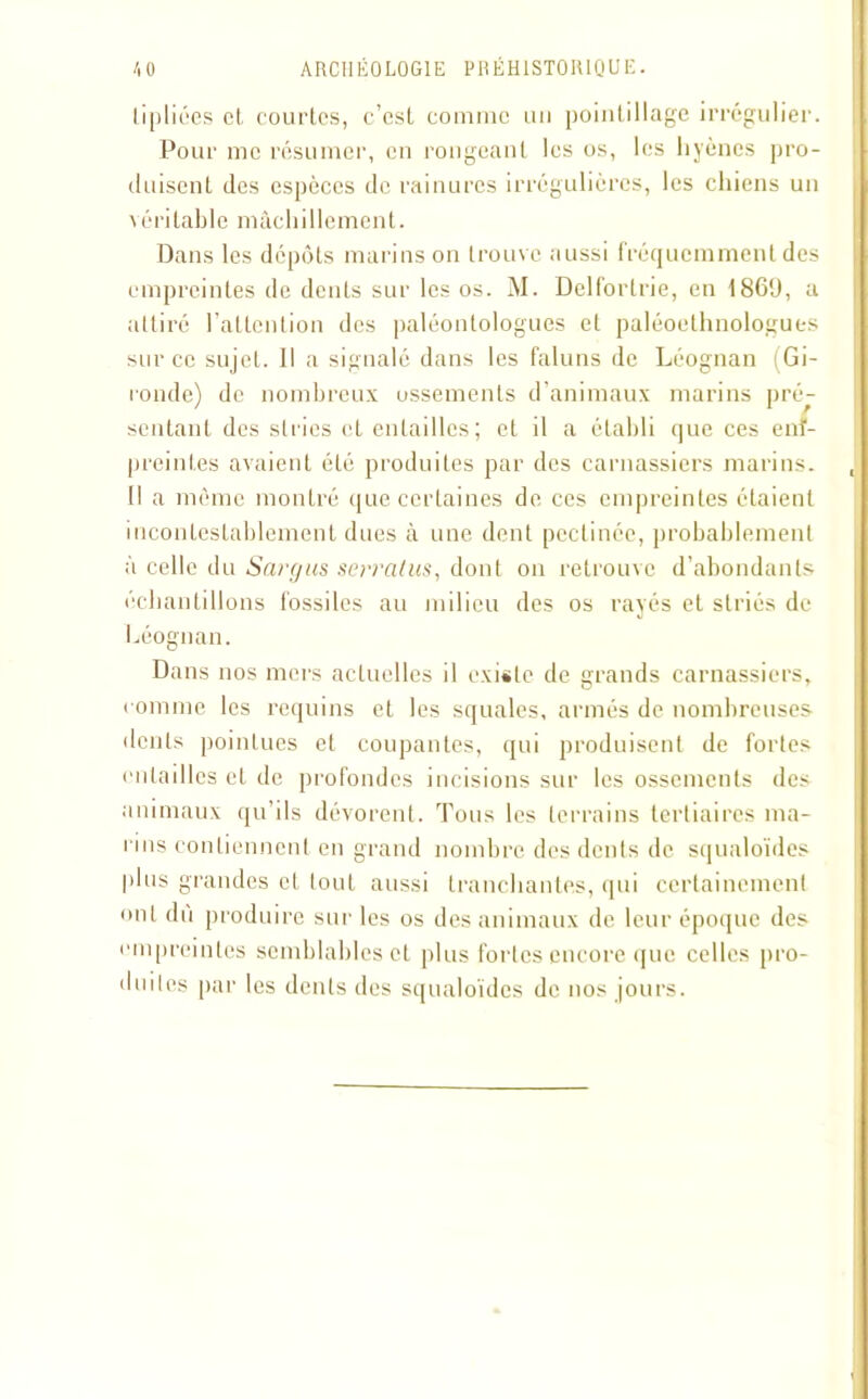 lipliées et courtes, c’est comme un pointillage irrégulier. Pour me résumer, en rongeant les os, les hyènes pro- duisent des espèces de rainures irrégulières, les chiens un véritable mùchillement. Dans les dépôts marins on trouve aussi fréquemment des empreintes de dents sur les os. M. Delforlrie, en 186'J, a attiré l’attention des paléontologues et paléoethnologues sur ce sujet. Il a signalé dans les faluns de Léognan [Gi- ronde) de nombreux ossements d’animaux marins pré- sentant des si ries et entailles; et il a établi que ces enî- preinl.es avaient été produites par des carnassiers marins. Il a même montré que certaines de ces empreintes étaient incontestablement dues à une dent pcctinée, probablement à celle du Sargus serrât us, dont on retrouve d’abondants échantillons fossiles au milieu des os rayés et striés de Léognan. Dans nos mers actuelles il existe de grands carnassiers, comme les requins et les squales, armés de nombreuses dents pointues et coupantes, qui produisent de fortes entailles et de profondes incisions sur les ossements des animaux qu’ils dévorent. Tous les terrains tertiaires ma- rins contiennent en grand nombre des dents de squaloïdes plus grandes et tout aussi tranchantes, qui certainement ont du produire sur les os des animaux de leur époque des empreintes semblables et plus fortes encore que celles pro- duites par les dents des squaloïdes de nos jours.