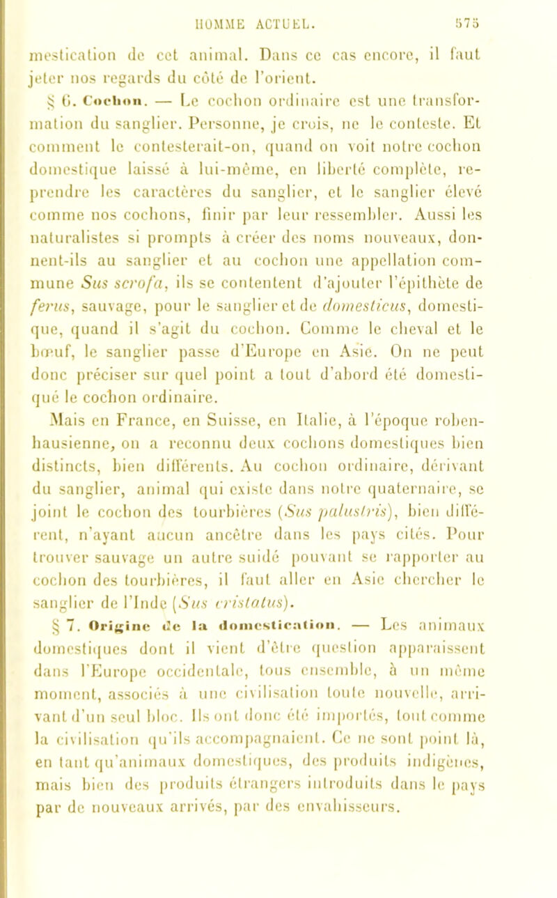 mestication de cet animal. Dans ce cas encore, il faut jeter nos regards du côté de l’orient. £ G. Cochon. — Le cochon ordinaire est une transfor- mation du sanglier. Personne, je crois, ne le conteste. Et comment le contesterait-on, quand on voit notre cochon domestique laissé à lui-même, en liberté complète, re- prendre les caractères du sanglier, et le sanglier élevé comme nos cochons, finir par leur ressembler. Aussi les naturalistes si prompts à créer des noms nouveaux, don- nent-ils au sanglier et au cochon une appellation com- mune Sus scrofa, ils se contentent d’ajouter l’épithète de férus, sauvage, pour le sanglier et de domesticus, domesti- que, quand il s’agit du cochon. Comme le cheval et le bœuf, le sanglier passe d’Europe en Asie. On ne peut donc préciser sur quel point a tout d’abord été domesti- qué le cochon ordinaire. Mais en France, en Suisse, en Italie, à l’époque roben- hausienne, on a reconnu deux cochons domestiques bien distincts, bien différents. Au cochon ordinaire, dérivant du sanglier, animal qui existe dans notre quaternaire, se joint le cochon des tourbières (Sus palus tris), bien diffé- rent, n’ayant aucun ancêtre dans les pays cités. Pour trouver sauvage un autre suidé pouvant se rapporter au cochon des tourbières, il faut aller en Asie chercher le sanglier de l’Inde [Sus vristatus). § 7. Origine de la domestication. — Les animaux domestiques dont il vient d’être question apparaissent dans l’Europe occidentale, tous ensemble, à un même moment, associés à une civilisation loule nouvelle, arri- vant d’un seul bloc. Ils ont donc été importés, tout comme la civilisation qu'ils accompagnaient. Ce ne sont point là, en tant qu’animaux domestiques, des produits indigènes, mais bien des produits étrangers introduits dans le pays par de nouveaux arrivés, par des envahisseurs.