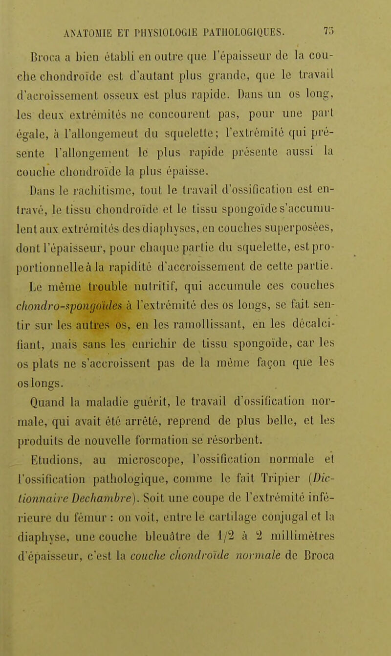 Broca a bien établi en outre que l'épaisseur de la cou- che chondroïde est d'autant plus grande, que le travail d'acroissement osseux est plus rapide. Dans un os long, les deux extrémités ne concourent pas, pour une part égale, à l'allongemeut du squelette; l'extrérailé qui pré- sente l'allongement le plus rapide présente aussi la couche chondroïde la plus épaisse. Dans le rachitisme, tout le travail d'ossification est en- travé, le tissu chondroïde et le tissu spongoïde s'accumu- lent aux extrémités desdiaphyses, en couches superposées, dont l'épaisseur, pour chaque partie du squelette, est pro- portionnelle à la rapidité d'accroissement de cette partie. Le même trouble nutritif, qui accumule ces couches choiidro-xpongdides à l'extrémité des os longs, se fait sen- tir sur les autres os, en les ramollissant, en les décalci- fiant, mais sans les enrichir de tissu spongoïde, car les os plats ne s'accroissent pas de la même façon que les os longs. Quand la maladie guérit, le travail d'ossification nor- male, qui avait été arrêté, reprend de plus belle, et les produits de nouvelle formation se résorbent. Etudions, au microscope, l'ossification normale et l'ossification pathologique, connue le fait Tripier {Dic- tionnaire Dechambre). Soit une coupe de l'extrémité infé- i-ieure du fémur : on voit, entre le cartilage conjugal et la diaphyse, une couche bleuâtre de 1/2 à 2 millimètres d'épaisseur, c'est la couche chondroïde normale de Broca