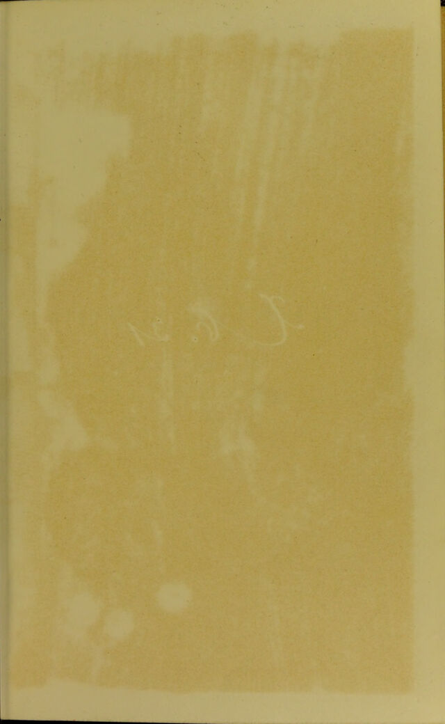 digitised image 3