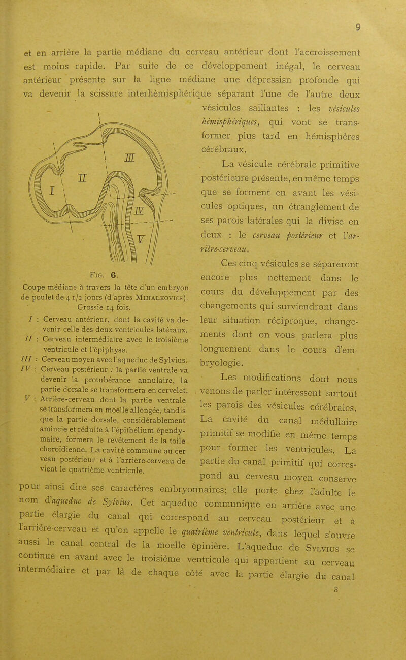 et en arrière la partie médiane du cerveau antérieur dont l'accroissement est moins rapide. Par suite de ce développement inégal, le cerveau antérieur présente sur la ligne médiane une dépressisn profonde qui va devenir la scissure interhémisphérique séparant l'une de l'autre deux vésicules saillantes : les vésicules hêniisphériques, qui vont se trans- foi-mer plus tard en hémisphères cérébraux. La vésicule cérébrale primitive postérieure présente, en même temps que se forment en avant les vési- cules optiques, un étranglement de ses parois latérales qui la divise en deux : le cevvemi posUvieuv et Yar- nère-cerveau. Ces cinq vésicules se sépareront encore plus nettement dans le cours du développement par des changements qui surviendront dans leur situation réciproque, change- ments dont on vous parlera plus longuement dans le cours d'em- bryologie. Les modifications dont nous venons de parler intéressent surtout les parois des vésicules cérébrales. La cavité du canal médullaire primitif se modifie en même temps pour former les ventricules. La partie du canal primitif qui corres- pond au cerveau moyen conserve / // /// FiG. 6. Coupe médiane à travers la tête d'un embryon de poulet de 4 1/2 jours (d'après Mihalkovics). Grossie 14 fois. Cerveau antérieur, dont la cavité va de- venir celle des deux ventricules latéraux. Cerveau intermédiaire avec le troisième ventricule et l'épiphyse. Cerveau moyen avec l'aqueduc de Sylvius. IV : Cerveau postérieur ; la partie ventrale va devenir la protubérance annulaire, la partie dorsale se transformera en cervelet. V : Arrière-cerveau dont la partie ventrale se transformera en moelle allongée, tandis que la partie dorsale, considérablement amincie et réduite à l'épithélium épendy- maire, formera le revêtement de la toile choroïdienne. La cavité commune au cer veau postérieur et à l'arrière-cerveau de vient le quatrième ventricule. pour ainsi dire ses caractères embryonnaires; elle porte chez l'adulte le nom à'aqueduc de Sylvius. Cet aqueduc communique en arrière avec une partie élargie du canal qui correspond au cerveau postérieur et à l'arrière-cerveau et qu'on appelle le quatrième ventricule, dans lequel s'ouvre aussi le canal central de la moelle épinière. L'aqueduc de Sylvius se continue en avant avec le troisième ventricule qui appartient au cerveau intermédiaire et par là de chaque côté avec la partie élargie du canal 3