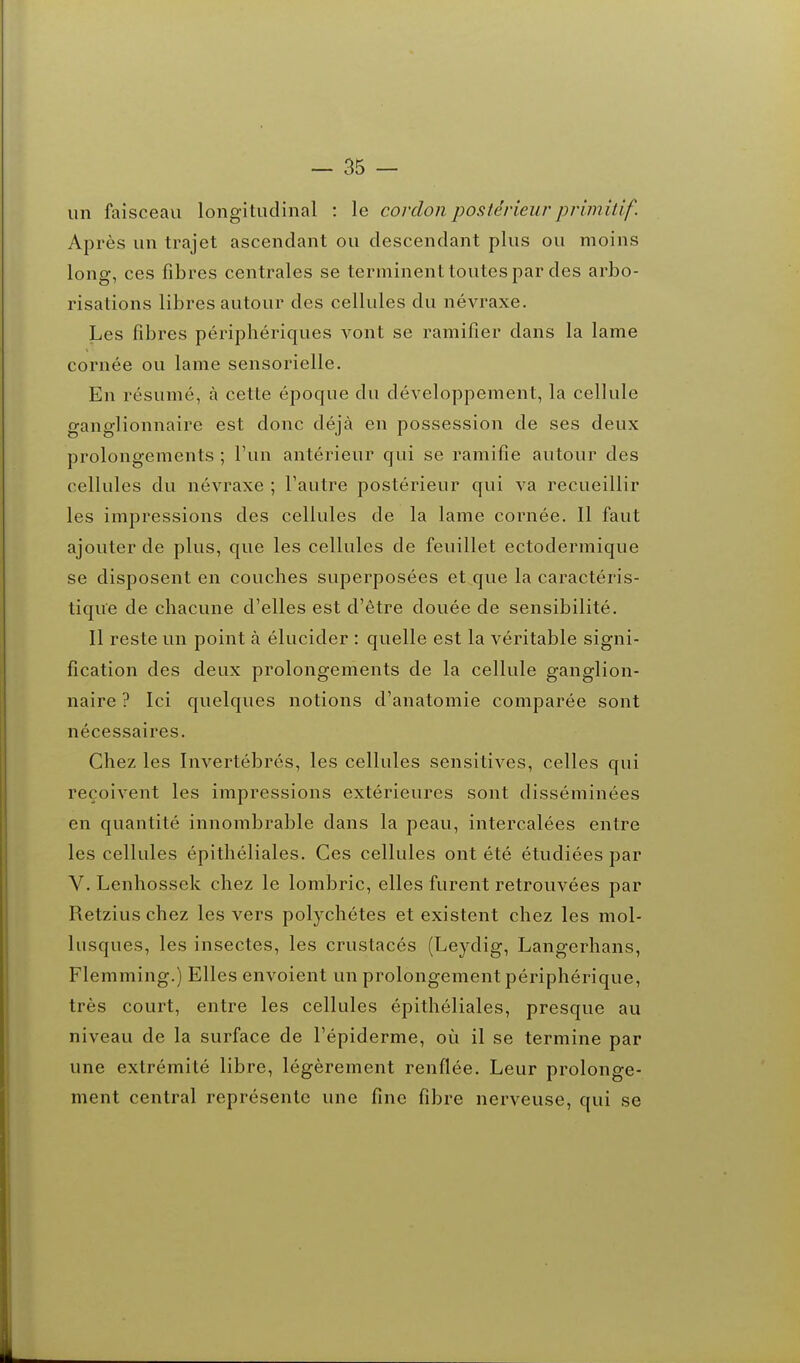 un faisceau longitudinal : le cordon postérieur primitif. Après un trajet ascendant ou descendant plus ou moins long, ces fibres centrales se terminent toutes par des arbo- risations libres autour des cellules du névraxe. Les fibres périphériques vont se ramifier dans la lame cornée ou lame sensorielle. En résumé, à cette époque du développement, la cellule ganglionnaire est donc déjà en possession de ses deux prolongements ; l'un antérieur qui se ramifie autour des cellules du névraxe ; l'autre postérieur qui va recueillir les impressions des cellules de la lame cornée. Il faut ajouter de plus, que les cellules de feuillet ectodermique se disposent en couches superposées et que la caractéris- tique de chacune d'elles est d'être douée de sensibilité. Il reste un point à élucider : quelle est la véritable signi- fication des deux prolongements de la cellule ganglion- naire ? Ici quelques notions d'anatomie comparée sont nécessaires. Chez les Invertébrés, les cellules sensitives, celles qui reçoivent les impressions extérieures sont disséminées en quantité innombrable dans la peau, intercalées entre les cellules épithéliales. Ces cellules ont été étudiées par V. Lenhossek chez le lombric, elles furent retrouvées par Retzius chez les vers polychétes et existent chez les mol- lusques, les insectes, les crustacés (Leydig, Langerhans, Flemming.) Elles envoient un prolongement périphérique, très court, entre les cellules épithéliales, presque au niveau de la surface de l'épiderme, où il se termine par une extrémité libre, légèrement renflée. Leur prolonge- ment central représente une fine fibre nerveuse, qui se