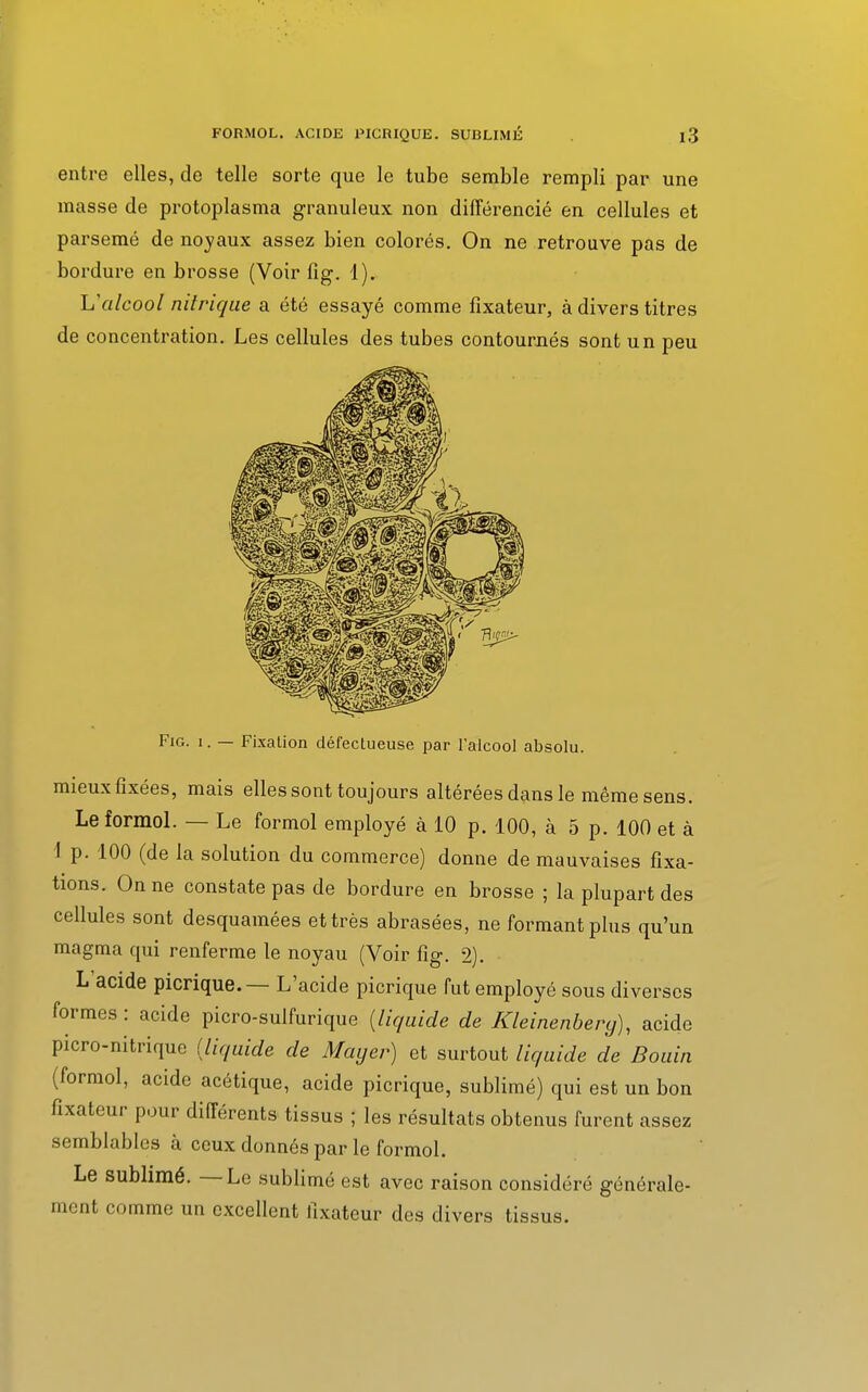 entre elles, de telle sorte que le tube semble rempli par une masse de protoplasma granuleux non différencié en cellules et parsemé de noyaux assez bien colorés. On ne retrouve pas de bordure en brosse (Voir fig. 1). Y?alcool nitrique a été essayé comme fixateur, à divers titres de concentration. Les cellules des tubes contournés sont un peu Fig. i. — Fixation défectueuse par l'alcool absolu. mieuxfîxées, mais elles sont toujours altérées dans le même sens. Le formol. — Le formol employé à 10 p. 100, à 5 p. 100 et à 1 p. 100 (de la solution du commerce) donne de mauvaises fixa- tions. On ne constate pas de bordure en brosse ; la plupart des cellules sont desquamées et très abrasées, ne formant plus qu'un magma qui renferme le noyau (Voir fig. 2). L'acide picrique.— L'acide picrique fut employé sous diverses formes: acide picro-sulfurique (liquide de Kleinenbery), acide picro-nitrique (liquide de Mayer) et surtout liquide de Bouin (formol, acide acétique, acide picrique, sublimé) qui est un bon fixateur pour différents tissus ; les résultats obtenus furent assez semblables à ceux donnés par le formol. Le sublimé. — Le sublimé est avec raison considéré générale- ment comme un excellent fixateur des divers tissus.