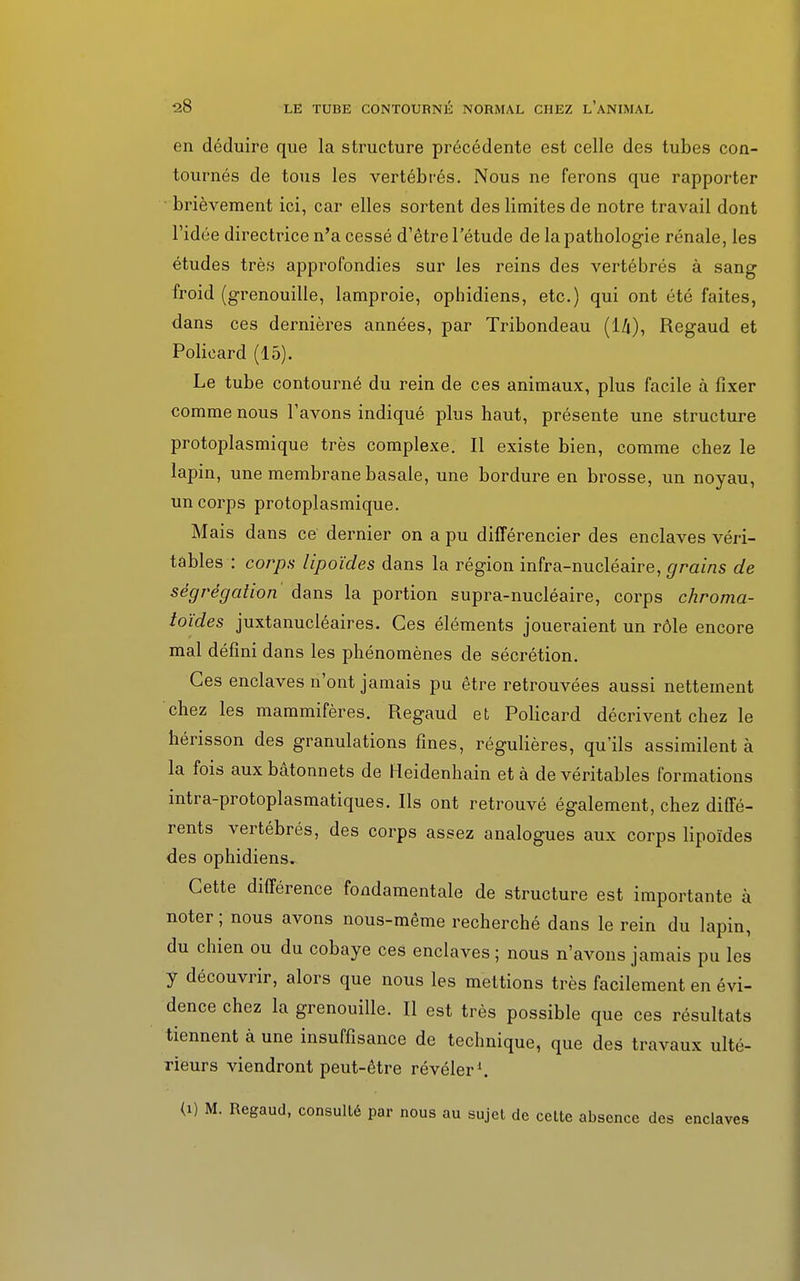 en déduire que la structure précédente est celle des tubes con- tournés de tous les vertébrés. Nous ne ferons que rapporter brièvement ici, car elles sortent des limites de notre travail dont l'idée directrice n'a cessé d'être l'étude de la pathologie rénale, les études très approfondies sur les reins des vertébrés à sang froid (grenouille, lamproie, ophidiens, etc.) qui ont été faites, dans ces dernières années, par Tribondeau (i/i), Regaud et Policard (15). Le tube contourné du rein de ces animaux, plus facile à fixer comme nous l'avons indiqué plus haut, présente une structure protoplasmique très complexe. Il existe bien, comme chez le lapin, une membrane basale, une bordure en brosse, un noyau, un corps protoplasmique. Mais dans ce dernier on a pu différencier des enclaves véri- tables : corps lipoïdes dans la région infra-nucléaire, grains de ségrégation dans la portion supra-nucléaire, corps chroma- toïdes juxtanucléaires. Ces éléments joueraient un rôle encore mal défini dans les phénomènes de sécrétion. Ces enclaves n'ont jamais pu être retrouvées aussi nettement chez les mammifères. Regaud et Policard décrivent chez le hérisson des granulations fines, régulières, qu'ils assimilent à la fois aux bâtonnets de Heidenhain et à de véritables formations intra-protoplasmatiques. Ils ont retrouvé également, chez diffé- rents vertébrés, des corps assez analogues aux corps lipoïdes des ophidiens. Cette différence fondamentale de structure est importante à noter ; nous avons nous-même recherché dans le rein du lapin, du chien ou du cobaye ces enclaves; nous n'avons jamais pu les y découvrir, alors que nous les mettions très facilement en évi- dence chez la grenouille. Il est très possible que ces résultats tiennent à une insuffisance de technique, que des travaux ulté- rieurs viendront peut-être révéler1. (i) M. Regaud, consulté par nous au sujet de cette absence des enclaves