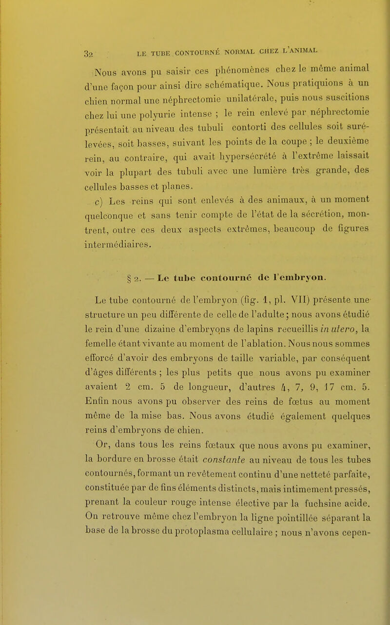 Nous avons pu saisir ces phénomènes chez le même animal d'une façon pour ainsi dire schématique. Nous pratiquions à un chien normal une néphrectomie unilatérale, puis nous suscitions chez lui une polyurie intense ; le rein enlevé par néphrectomie présentait au niveau des tubuli contorti des cellules soit suré- levées, soit basses, suivant les points de la coupe ; le deuxième rein, au contraire, qui avait hypersécrété à l'extrême laissait voir la plupart des tubuli avec une lumière très grande, des cellules basses et planes. c) Les reins qui sont enlevés à des animaux, à un moment quelconque et sans tenir compte de l'état de la sécrétion, mon- trent, outre ces deux aspects extrêmes, beaucoup de figures intermédiaires. § 2. — Le tube contourné de l'embryon. Le tube contourné de l'embryon (fig. 1, pl. VII) présente une structure un peu différente de celle de l'adulte ; nous avons étudié le rein d'une dizaine d'embryons de lapins recueillis in utero, la femelle étant vivante au moment de l'ablation. Nous nous sommes efforcé d'avoir des embryons de taille variable, par conséquent d'âges différents ; les plus petits que nous avons pu examiner avaient 2 cm. 5 de longueur, d'autres 4, 7, 9, 17 cm. 5. Enfin nous avons pu observer des reins de fœtus au moment même de la mise bas. Nous avons étudié également quelques reins d'embryons de chien. Or, dans tous les reins fœtaux que nous avons pu examiner, la bordure en brosse était constante au niveau de tous les tubes contournés, formant un revêtement continu d'une netteté parfaite, constituée par de fins éléments distincts, mais intimement pressés, prenant la couleur rouge intense élective par la fuchsine acide. On retrouve même chez l'embryon la ligne pointillée séparant la base de la brosse du protoplasma cellulaire ; nous n'avons cepen-