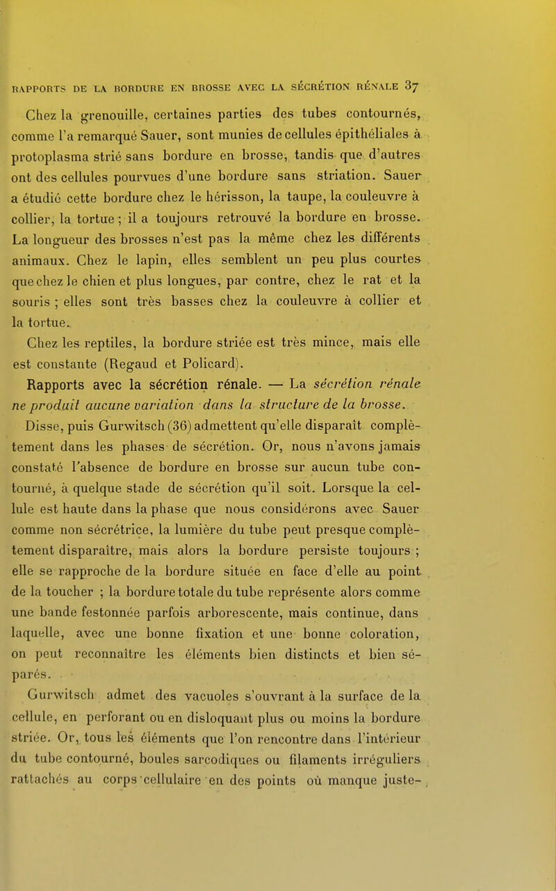 Chez la grenouille, certaines parties des tubes contournés, comme l'a remarqué Sauer, sont munies de cellules épithéliales à protoplasma strié sans bordure en brosse, tandis que d'autres ont des cellules pourvues d'une bordure sans striation. Sauer a étudié cette bordure chez le hérisson, la taupe, la couleuvre à collier, la tortue ; il a toujours retrouvé la bordure en brosse. La longueur des brosses n'est pas la même chez les différents animaux. Chez le lapin, elles semblent un peu plus courtes que chez le chien et plus longues, par contre, chez le rat et la souris ; elles sont très basses chez la couleuvre à collier et la tortue. Chez les reptiles, la bordure striée est très mince, mais elle est constante (Regaud et Policard). Rapports avec la sécrétion rénale. — La sécrétion rénale ne produit aucune variation dans la structure de la brosse. Disse, puis Gurwitsch (36) admettent qu'elle disparaît complè- tement dans les phases de sécrétion. Or, nous n'avons jamais constaté l'absence de bordure en brosse sur aucun tube con- tourné, à quelque stade de sécrétion qu'il soit. Lorsque la cel- lule est haute dans la phase que nous considérons avec Sauer comme non sécrétrice, la lumière du tube peut presque complè- tement disparaître, mais alors la bordure persiste toujours ; elle se rapproche de la bordure située en face d'elle au point de la toucher ; la bordure totale du tube représente alors comme une bande festonnée parfois arborescente, mais continue, dans laquelle, avec une bonne fixation et une bonne coloration, on peut reconnaître les éléments bien distincts et bien sé- parés. . • Gurwitsch admet des vacuoles s'ouvrant à la surface delà cellule, en perforant ou en disloquant plus ou moins la bordure striée. Or, tous les éléments que l'on rencontre dans l'intérieur du tube contourné, boules sarcodiques ou filaments irréguliers rattachés au corps cellulaire en des points où manque juste-