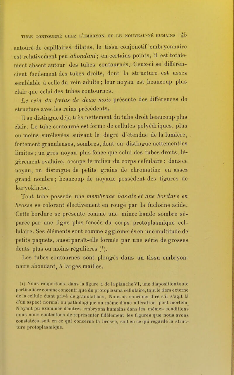 TUBE CONTOURNÉ CHEZ L'EMBRYON ET LE NOUVEAU-NÉ HUMAINS /|5 entouré de capillaires dilatés, le tissu conjonctif embryonnaire est relativement peu abondant; en certains points, il est totale- ment absent autour des tubes contournés. Ceux-ci se différen- cient facilement des tubes droits, dont la structure est assez semblable à celle du rein adulte ; leur noyau est beaucoup plus clair que celui des tubes contournés. Le rein du fœtus de deux mois présente des différences de structure avec les reins précédents. Il se distingue déjà très nettement du tube droit beaucoup plus clair. Le tube contourné est formé de cellules polyédriques, plus ou moins surélevées suivant le degré d'étendue de la lumière, fortement granuleuses, sombres, dont on distingue nettementles limites ; un gros noyau plus foncé que celui des tubes droits, lé- gèrement ovalaire, occupe le milieu du corps cellulaire ; dans ce noyau, on distingue de petits grains de chromatine en assez grand nombre ; beaucoup de noyaux possèdent des figures de karyokinèse. Tout tube possède une membrane bas aie et une bordure en brosse se colorant électivement en rouge par la fuchsine acide. Cette bordure se présente comme une mince bande sombre sé- parée par une ligne plus foncée du corps protoplasmique cel- lulaire. Ses éléments sont comme agglomérés en unemultitude de petits paquets, aussi paraît-elle formée par une série de grosses dents plus ou moins régulières (*). Les tubes contournés sont plongés dans un tissu embryon- naire abondant, à larges mailles. (1) Nous rapportons, dans la figure 2 de la planche VI, une disposition toute particulière comme concentrique du protoplasma cellulaire, toutle tiers externe de la cellule étant privé de granulations. Nous ne saurions dire s'il s'agit là d'un aspect normal ou pathologique ou môme d'une altération post mortem N'ayant pu examiner d'autres embryons humains dans les mômes conditions nous nous contentons de représenter fidèlement les figures que nous avons constatées, soit en ce qui concerne la brosse, soit en ce qui regarde la struc- ture protoplasmique.