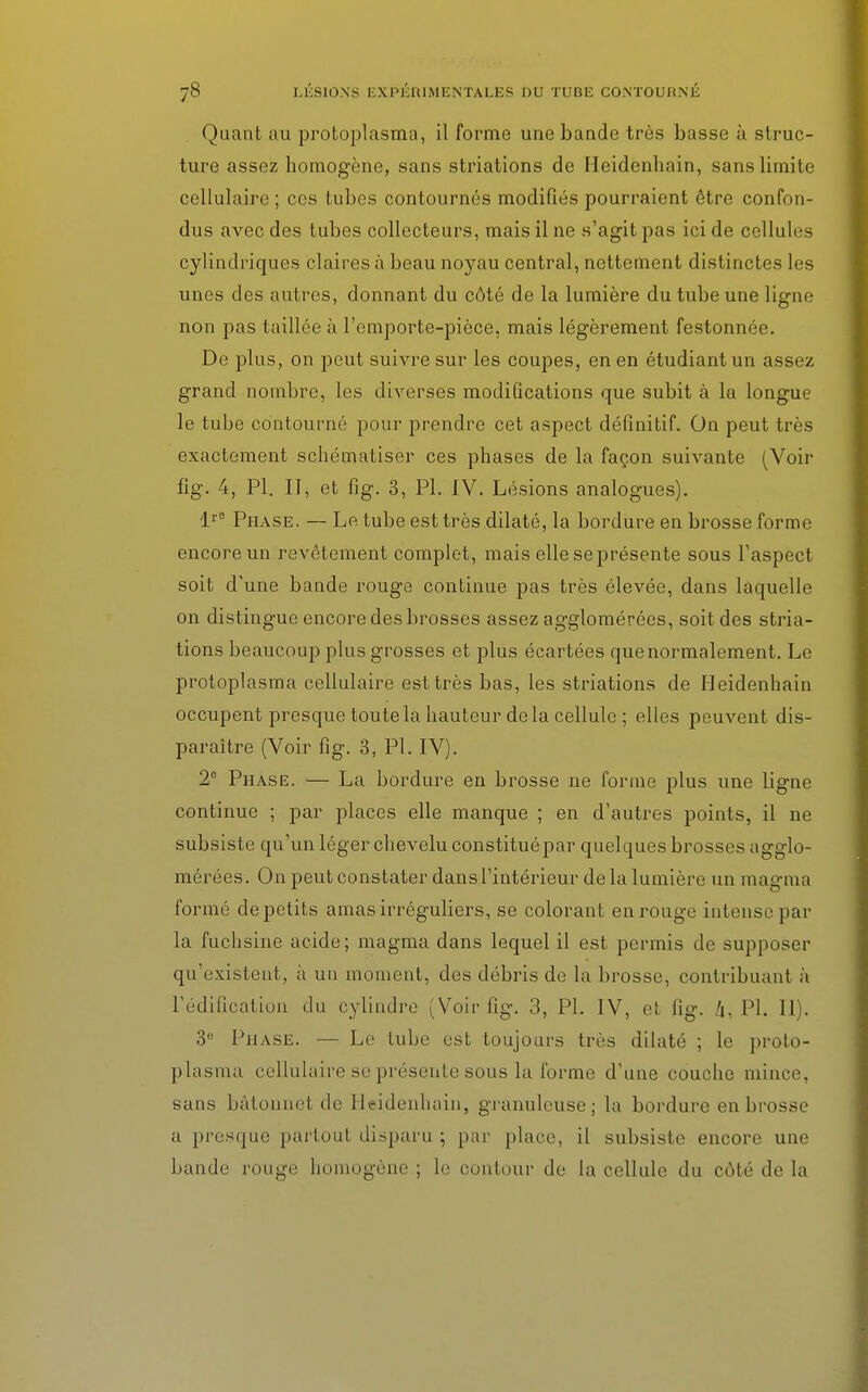 Quant au protoplasma, il forme une bande très basse à struc- ture assez homogène, sans striations de Heidenhain, sans limite cellulaire ; ces tubes contournés modifiés pourraient être confon- dus avec des tubes collecteurs, mais il ne s'agit pas ici de cellules cylindriques claires à beau noyau central, nettement distinctes les unes des autres, donnant du côté de la lumière du tube une ligne non pas taillée à l'emporte-pièce, mais légèrement festonnée. De plus, on peut suivre sur les coupes, en en étudiant un assez grand nombre, les diverses modifications que subit à la longue le tube contourné pour prendre cet aspect définitif. On peut très exactement schématiser ces phases de la façon suivante (Voir fig. 4, Pl. II, et fig. 3, Pl. IV. Lésions analogues). lr° Phase. — Le tube est très dilaté, la bordure en brosse forme encore un revêtement complet, mais elle se présente sous l'aspect soit d'une bande rouge continue pas très élevée, dans laquelle on distingue encore des brosses assez agglomérées, soit des stria- tions beaucoup plus grosses et plus écartées que normalement. Le protoplasma cellulaire est très bas, les striations de Heidenhain occupent presque toute la hauteur delà cellule ; elles peuvent dis- paraître (Voir fig. 3, Pl. IV). 2e Phase. — La bordure en brosse ne forme plus une ligne continue ; par places elle manque ; en d'autres points, il ne subsiste qu'un léger chevelu constituépar quelques brosses agglo- mérées. On peut constater dans l'intérieur de la lumière un magma formé de petits amas irréguliers, se colorant en rouge intense par la fuchsine acide; magma dans lequel il est permis de supposer qu'existent, à un moment, des débris de la brosse, contribuant à l'édification du cylindre (Voir fig. 3, PL IV, et fig. 4, Pl. II). 3° Phase. — Le tube est toujours très dilaté ; le proto- plasma cellulaire se présente sous la forme d'une couche mince, sans bâtonnet de Heidenhain, granuleuse; la bordure en brosse a presque partout disparu ; par place, il subsiste encore une bande rouge homogène ; le contour de la cellule du côté de la