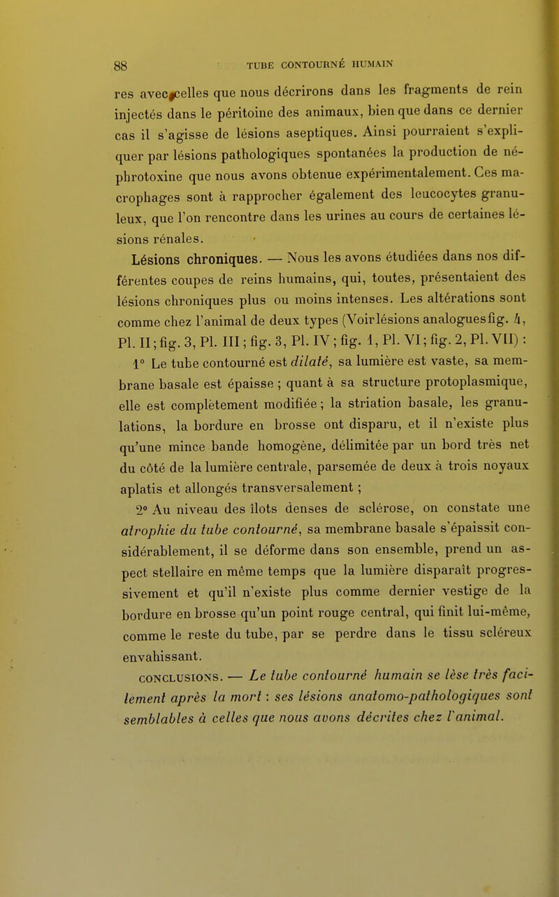 res avecfcelles que nous décrirons dans les fragments de rein injectés dans le péritoine des animaux, bien que dans ce dernier cas il s'agisse de lésions aseptiques. Ainsi pourraient s'expli- quer par lésions pathologiques spontanées la production de né- phrotoxine que nous avons obtenue expérimentalement. Ces ma- crophages sont à rapprocher également des leucocytes granu- leux, que l'on rencontre dans les urines au cours de certaines lé- sions rénales. Lésions chroniques. — Nous les avons étudiées dans nos dif- férentes coupes de reins humains, qui, toutes, présentaient des lésions chroniques plus ou moins intenses. Les altérations sont comme chez l'animal de deux types (Voirlésions analoguesfig. 4, Pl. II ; fig. 3, Pl. III ; fig. 3, Pl. IV ; fig. 1, Pl. VI ; fïg. 2, Pl. VII) : 1° Le tube contourné est dilaté, sa lumière est vaste, sa mem- brane basale est épaisse ; quant à sa structure protoplasmique, elle est complètement modifiée ; la striation basale, les granu- lations, la bordure en brosse ont disparu, et il n'existe plus qu'une mince bande homogène, délimitée par un bord très net du côté de la lumière centrale, parsemée de deux à trois noyaux aplatis et allongés transversalement ; 2° Au niveau des îlots denses de sclérose, on constate une atrophie du tube contourné, sa membrane basale s'épaissit con- sidérablement, il se déforme dans son ensemble, prend un as- pect stellaire en même temps que la lumière disparaît progres- sivement et qu'il n'existe plus comme dernier vestige de la bordure en brosse qu'un point rouge central, qui finit lui-même, comme le reste du tube, par se perdre dans le tissu scléreux envahissant. conclusions. — Le tube contourné humain se lèse très faci- lement après la mort : ses lésions anatomo-pathologiques sont semblables à celles que nous avons décrites chez ranimai.