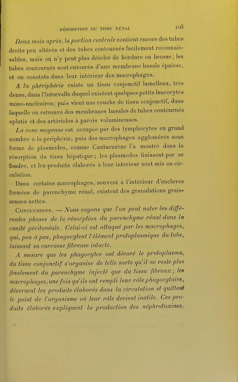 Deux mois après, la portion centrale contient encore des tubes droits peu altérés et des tubes contournés facilement reconnais- sablés, mais on n'y peut plus déceler de bordure en brosse; les tubes contournés sont entourés d'une membrane basale épaisse, et on constate dans leur intérieur des macrophages. A la phériphérie existe un tissu conjonctif lamelleux, très dense, dans l'intervalle duquel existent quelques petits leucocytes mono-nucléaires; puis vient une couche de tissu conjonctif, dans laquelle on retrouve des membranes basales de tubes contournés aplatis et des artérioles à parois volumineuses. La zone moyenne est occupée par des lymphocytes en grand nombre à la périphérie, puis des macrophages agglomérés sous forme de plasmodes, comme Cantacuzène l'a montré dans la résorption du tissu hépatique ; les plasmodes finissent par se fondre, et les produits élaborés à leur intérieur sont mis en cir- culation. Dans certains macrophages, souvent à l'intérieur d'enclaves formées de parenchyme rénal, existent des granulations grais- seuses nettes. Conclusions. — Nous voyons que Von peut noter les diffé- rentes phases de la résorption du parenchyme rénal dans la cavité péritonéale. Celui-ci est attaqué par les macrophages, qui, peu à peu, phagocytent l'élément protoplasmique du tube, laissant sa carcasse fibreuse intacte. A mesure que les phagocytes ont dévoré le protoplasma, du tissu conjonctif s'organise de telle sorte qu'il ne reste plus finalement du parenchyme injecté que du tissu fibreux ; les macrophages, une fois qu 'ils ont rempli leur rôlephagocytaire, déversent les produits élaborés dans la circulation et quittent le point de l'organisme où leur rôle devient inutile. Ces pro- duits élaborés expliquent la production des néphrotoxines.