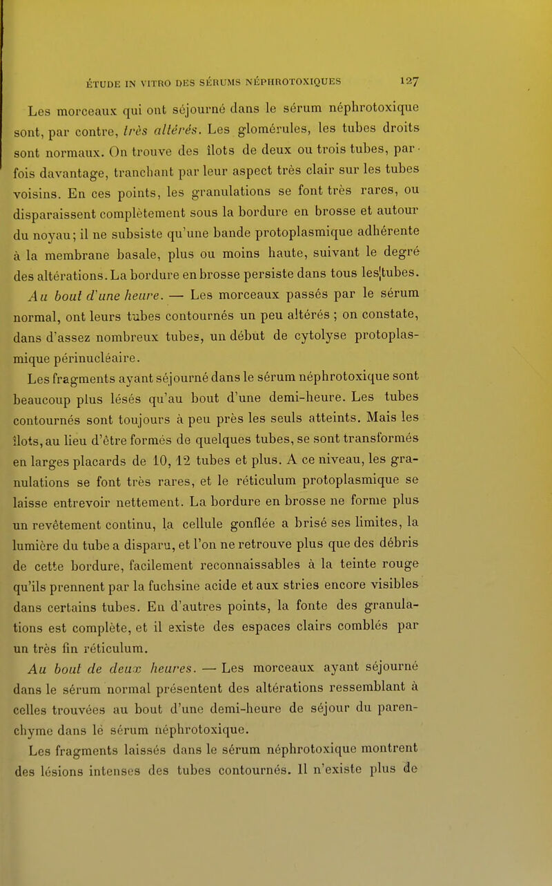 Les morceaux qui ont séjourné dans le sérum néphrotoxique sont, par contre, très altérés. Les glomérules, les tubes droits sont normaux. On trouve des îlots de deux ou trois tubes, par- fois davantage, tranchant par leur aspect très clair sur les tubes voisins. En ces points, les granulations se font très rares, ou disparaissent complètement sous la bordure en brosse et autour du noyau; il ne subsiste qu'une bande protoplasmique adhérente à la membrane basale, plus ou moins haute, suivant le degré des altérations. La bordure en brosse persiste dans tous les|tubes. Au bout d'une heure. — Les morceaux passés par le sérum normal, ont leurs tubes contournés un peu altérés ; on constate, dans d'assez nombreux tubes, un début de cytolyse protoplas- mique périnucléaire. Les fragments ayant séjourné dans le sérum néphrotoxique sont beaucoup plus lésés qu'au bout d'une demi-heure. Les tubes contournés sont toujours à peu près les seuls atteints. Mais les îlots, au lieu d'être formés de quelques tubes, se sont transformés en larges placards de 10,12 tubes et plus. A ce niveau, les gra- nulations se font très rares, et le réticulum protoplasmique se laisse entrevoir nettement. La bordure en brosse ne forme plus un revêtement continu, la cellule gonflée a brisé ses limites, la lumière du tube a disparu, et l'on ne retrouve plus que des débris de cette bordure, facilement reconnaissables à la teinte rouge qu'ils prennent par la fuchsine acide et aux stries encore visibles dans certains tubes. En d'autres points, la fonte des granula- tions est complète, et il existe des espaces clairs comblés par un très fin réticulum. Au bout de deux heures. — Les morceaux ayant séjourné dans le sérum normal présentent des altérations ressemblant à celles trouvées au bout d'une demi-heure de séjour du paren- chyme dans lé sérum néphrotoxique. Les fragments laissés dans le sérum néphrotoxique montrent des lésions intenses des tubes contournés. 11 n'existe plus de