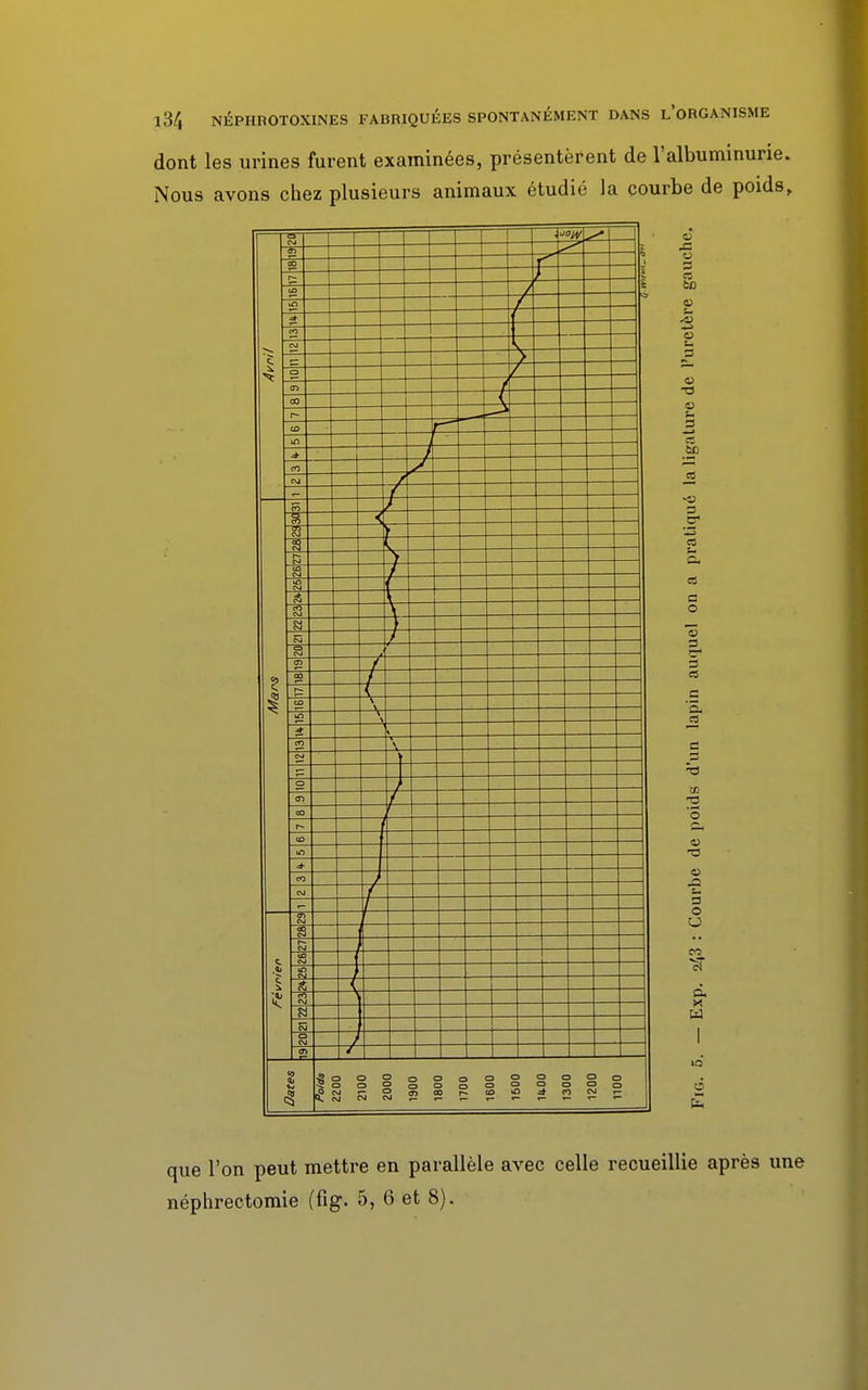 dont les urines furent examinées, présentèrent de l'albuminurie. Nous avons chez plusieurs animaux étudié la courbe de poids, que l'on peut mettre en parallèle avec celle recueillie après une néphrectomie (fig. 5, 6 et 8).