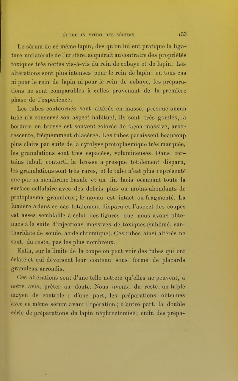 Le sérum de ce même lapin, dès qu'on lui eut pratiqué la liga- ture unilatérale de l'uretère, acquérait au contraire des propriétés toxiques très nettes vis-à-vis du rein de cobaye et de lapin. Les altérations sont plus intenses pour le rein de lapin ; en tous cas ni pour le rein de lapin ni pour le rein de cobaye, les prépara- tions ne sont comparables à celles provenant de la première phase de l'expérience. Les tubes contournés sont altérés en masse, presque aucun tube n'a conservé son aspect habituel, ils sont très gonflés, la bordure en brosse est souvent colorée de façon massive, arbo- rescente, fréquemment dilacérée. Les tubes paraissent beaucoup plus clairs par suite de la cytolyse protoplasmique très marquée, les granulations sont très espacées, volumineuses. Dans cer- tains tubuli contorti, la brosse a presque totalement disparu, les granulations sont très rares, et le tube n'est plus représenté que par sa membrane basale et un fin lacis occupant toute la surface cellulaire avec des débris plus ou moins abondants de protoplasma granuleux ; le noyau est intact ou fragmenté. La lumière a dans ce cas totalement disparu et l'aspect des coupes est assez semblable à celui des figures que nous avons obte- nues à la suite d'injections massives de toxiques (sublimé, can- tharidate de soude, acide chromique). Ces tubes ainsi altérés ne sont, du reste, pas les plus nombreux. Enfin, sur la limite de la coupe on peut voir des tubes qui ont éclaté et qui déversent leur contenu sous forme de placards granuleux arrondis. Ces altérations sont d'une telle netteté qu'elles ne peuvent, à notre avis, prêter au doute. Nous avons, du reste, un triple moyen de contrôle : d'une part, les préparations obtenues avec ce même sérum avant l'opération ; d'autre part, la double série de préparations du lapin néphrectomisé ; enfin des prépa-