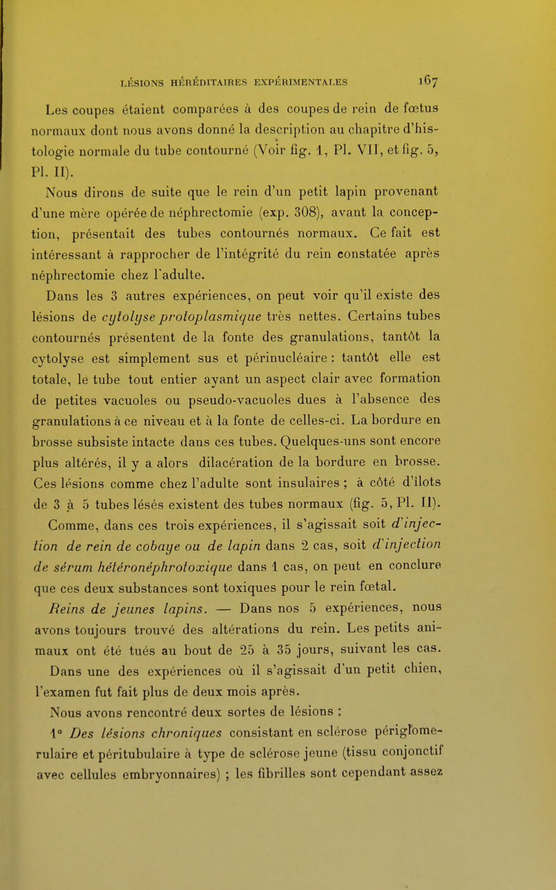 Les coupes étaient comparées à des coupes de rein de fœtus normaux dont nous avons donné la description au chapitre d'his- tologie normale du tube contourné (Voir fig. 1, Pl. VII, etfig. 5, Pl. II). Nous dirons de suite que le rein d'un petit lapin provenant d'une mère opérée de néphrectomie (exp. 308), avant la concep- tion, présentait des tubes contournés normaux. Ce fait est intéressant à rapprocher de l'intégrité du rein constatée après néphrectomie chez l'adulte. Dans les 3 autres expériences, on peut voir qu'il existe des lésions de cytolyse proioplasmique très nettes. Certains tubes contournés présentent de la fonte des granulations, tantôt la cytolyse est simplement sus et périnucléaire : tantôt elle est totale, le tube tout entier ayant un aspect clair avec formation de petites vacuoles ou pseudo-vacuoles dues à l'absence des granulations à ce niveau et à la fonte de celles-ci. La bordure en brosse subsiste intacte dans ces tubes. Quelques-uns sont encore plus altérés, il y a alors dilacération de la bordure en brosse. Ces lésions comme chez l'adulte sont insulaires ; à côté d'îlots de 3 à 5 tubes lésés existent des tubes normaux (fig. 5, Pl. II). Comme, dans ces trois expériences, il s'agissait soit d'injec- tion de rein de cobaye ou de lapin dans 2 cas, soit d'injection de sérum hétéronéphrotoxique dans 1 cas, on peut en conclure que ces deux substances sont toxiques pour le rein fœtal. Reins de jeunes lapins. — Dans nos 5 expériences, nous avons toujours trouvé des altérations du rein. Les petits ani- maux ont été tués au bout de 25 à 35 jours, suivant les cas. Dans une des expériences où il s'agissait d'un petit chien, l'examen fut fait plus de deux mois après. Nous avons rencontré deux sortes de lésions : 1° Des lésions chroniques consistant en sclérose périglome- rulaire et péritubulaire à type de sclérose jeune (tissu conjonctif avec cellules embryonnaires) ; les fibrilles sont cependant assez