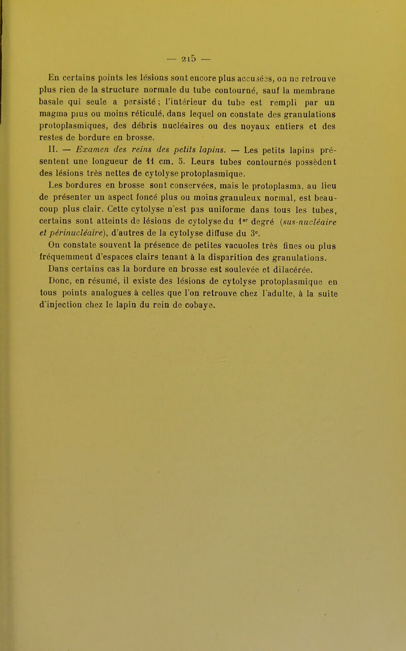 En certains points les lésions sont encore plus accusées, on ne retrouve plus rien de la structure normale du tube contourné, sauf la membrane basale qui seule a persisté ; l'intérieur du tube est rempli par un magma pius ou moins réticulé, dans lequel on constate des granulations protoplasmiques, des débris nucléaires ou des noyaux entiers et des restes de bordure en brosse. II. — Examen des reins des petits lapins. — Les petits lapins pré- sentent une longueur de 11 cm. 5. Leurs tubes contournés possèdent des lésions très nettes de cytolyse protoplasmique. Les bordures en brosse sont conservées, mais le protoplasma, au lieu de présenter un aspect foncé plus ou moins granuleux normal, est beau- coup plus clair. Cette cytolyse n'est pas uniforme dans tous les tubes, certains sont atteints de lésions de cytolyse du 1er degré {sus-nucléaire et pêrinucléaire), d'autres de la cytolyse diffuse du 3e. On constate souvent la présence de petites vacuoles très fines ou plus fréquemment d'espaces clairs tenant à la disparition des granulations. Dans certains cas la bordure en brosse est soulevée et dilacérée. Donc, en résumé, il existe des lésions de cytolyse protoplasmique en tous points analogues à celles que l'on retrouve chez l'adulte, à la suite d'injection chez le lapin du rein de cobaye.