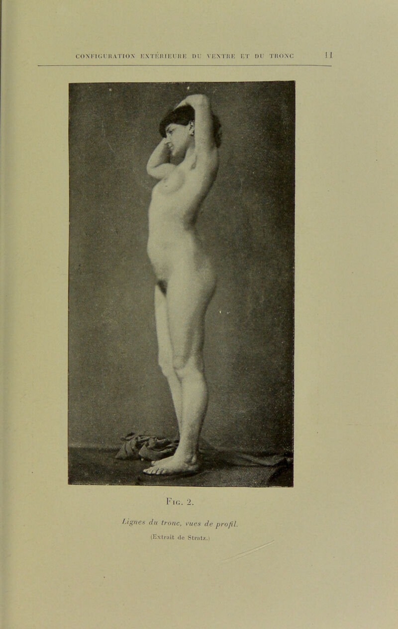 CONFIGURATION EXTKIl!EUlîlî IM VENTIIE ET DU TRONC I I Fig. 2. F.ignes du tronc, rues de profil.