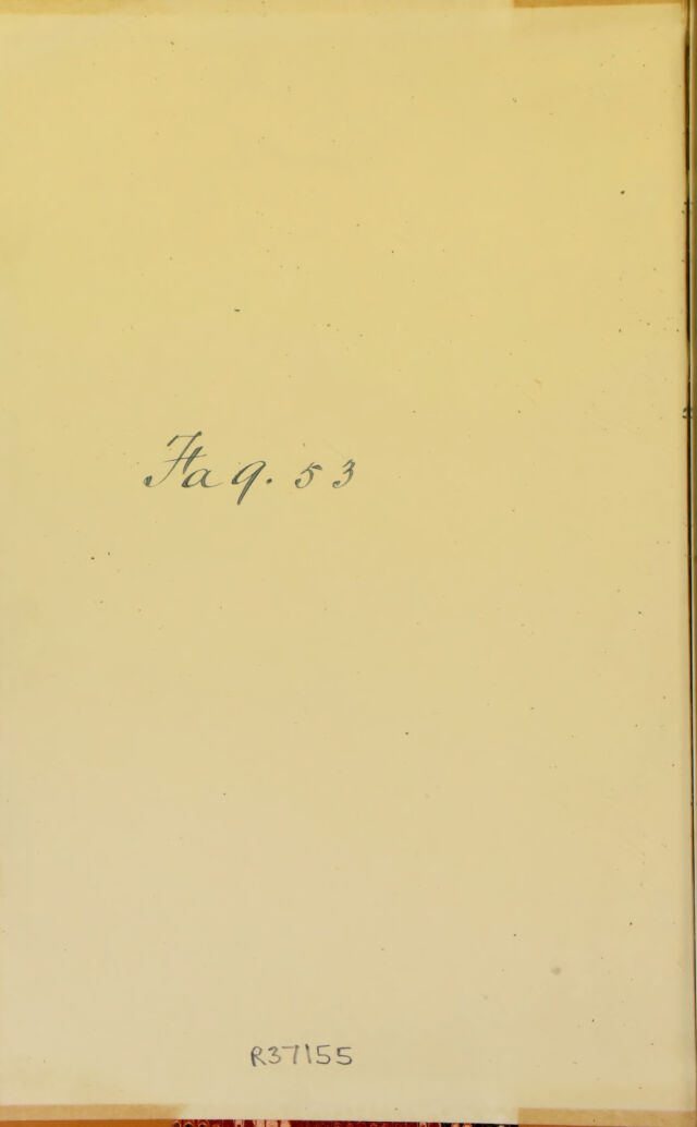 digitised image 2