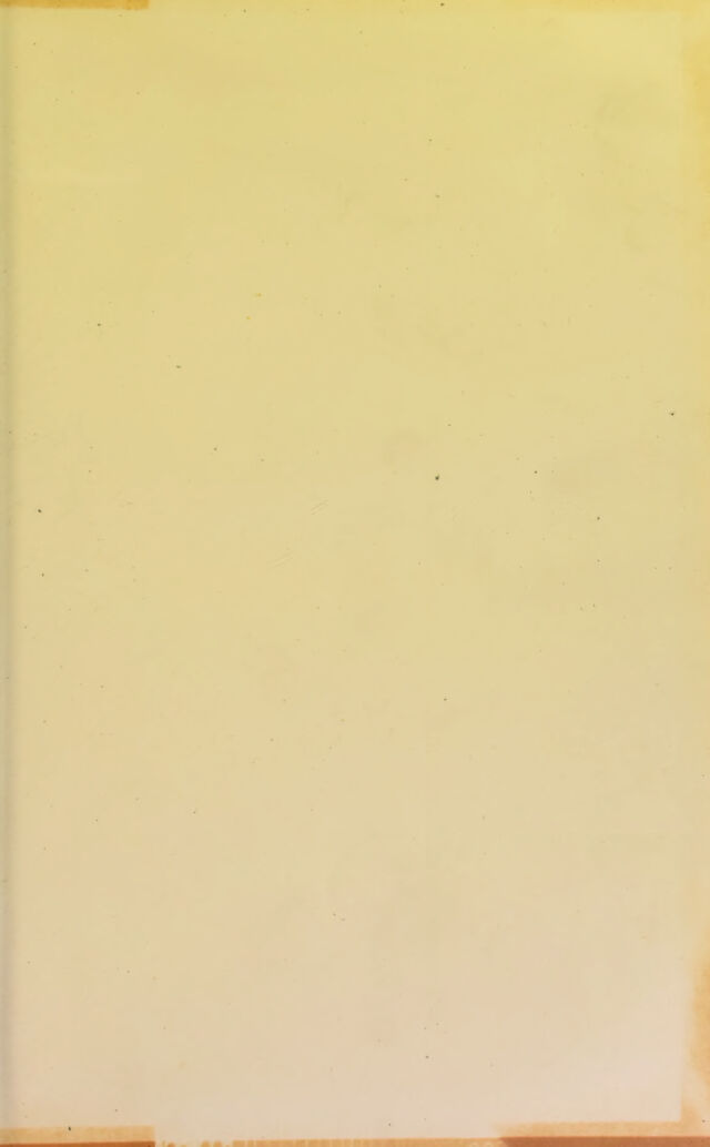 digitised image 3